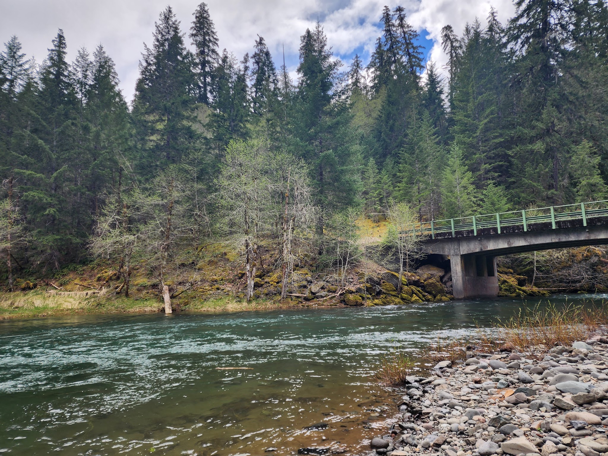 Little Fan Creek Camp