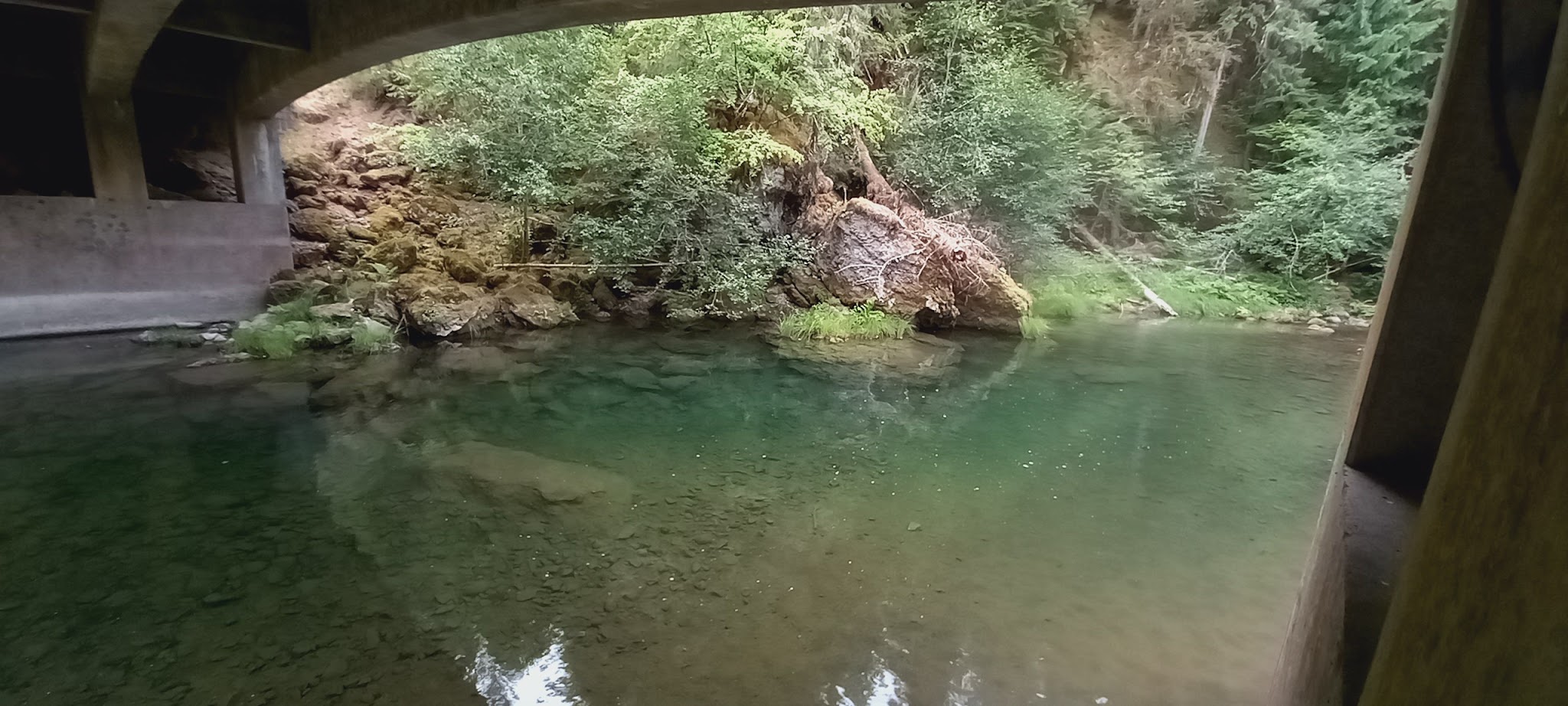 Little Fan Creek Camp