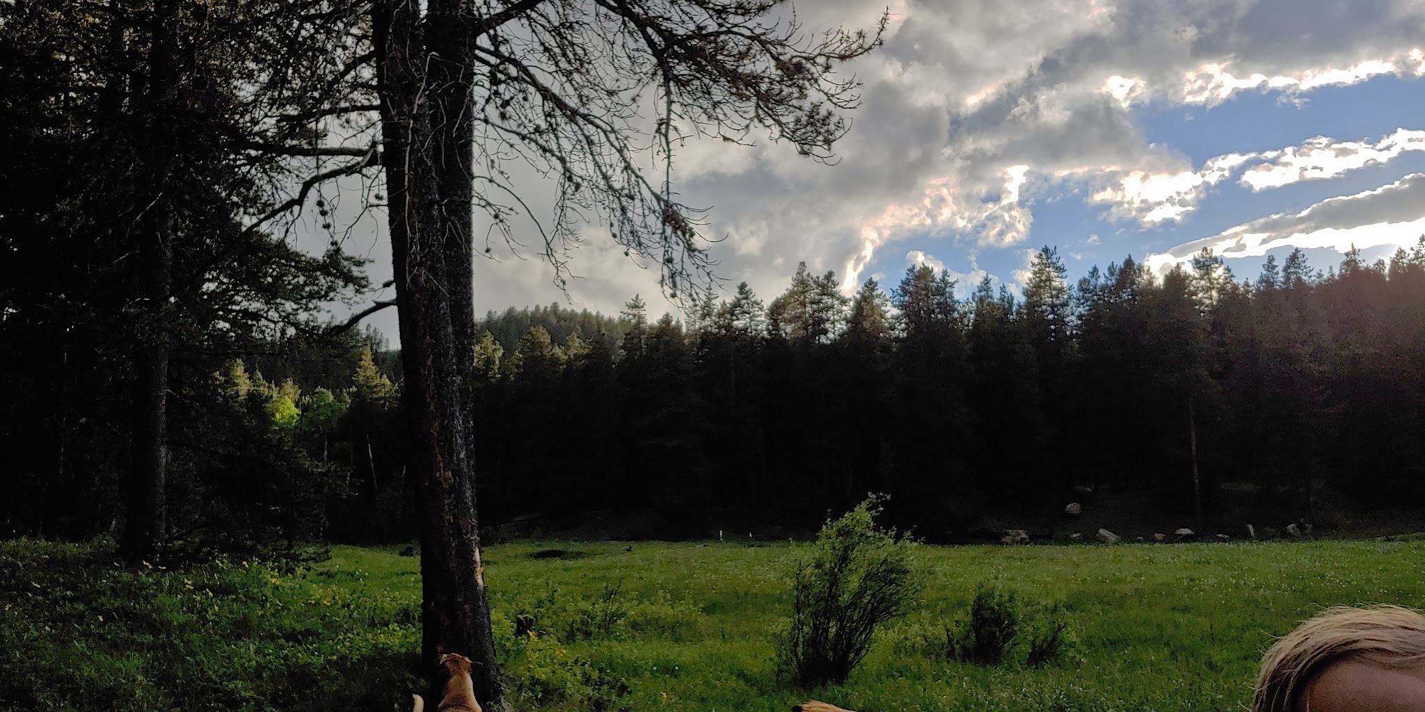 Little Goose Campground