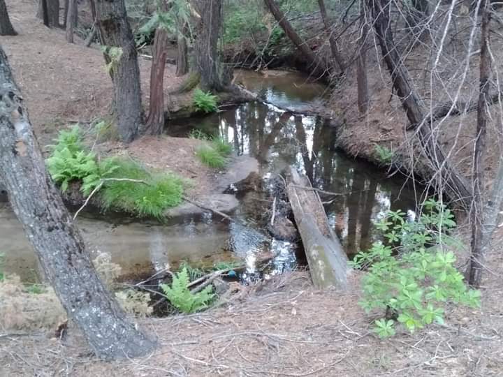 Little Jackass Campground