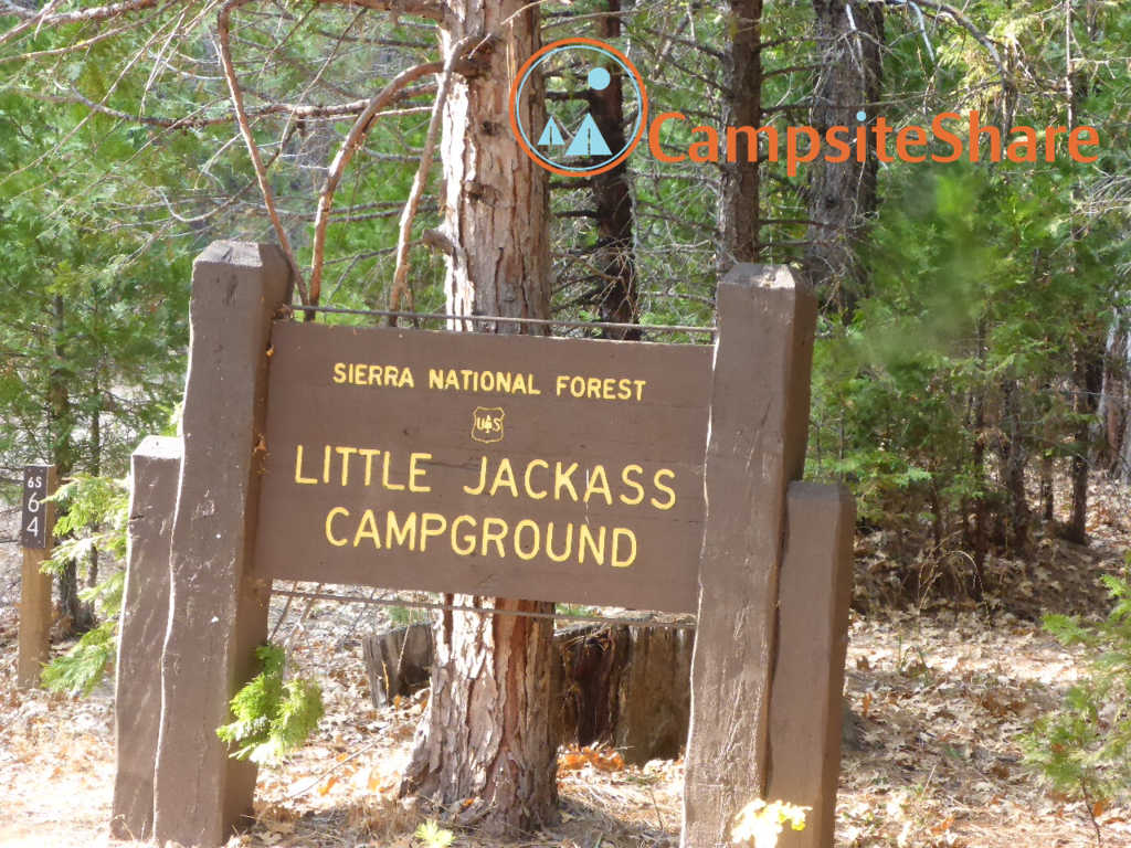 Little Jackass Campground
