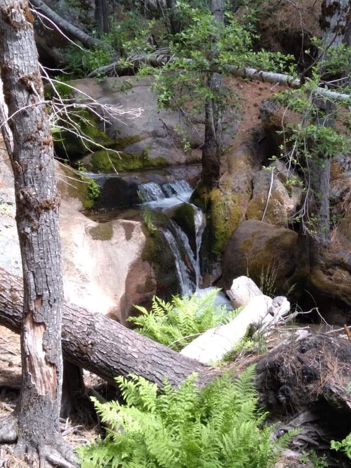 Little Jackass Campground