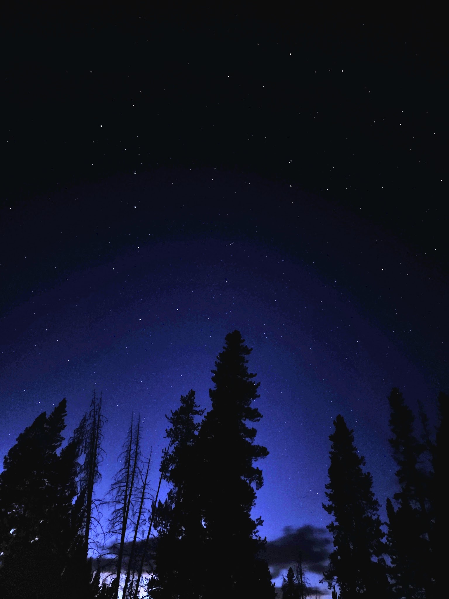 Little Joe Campground