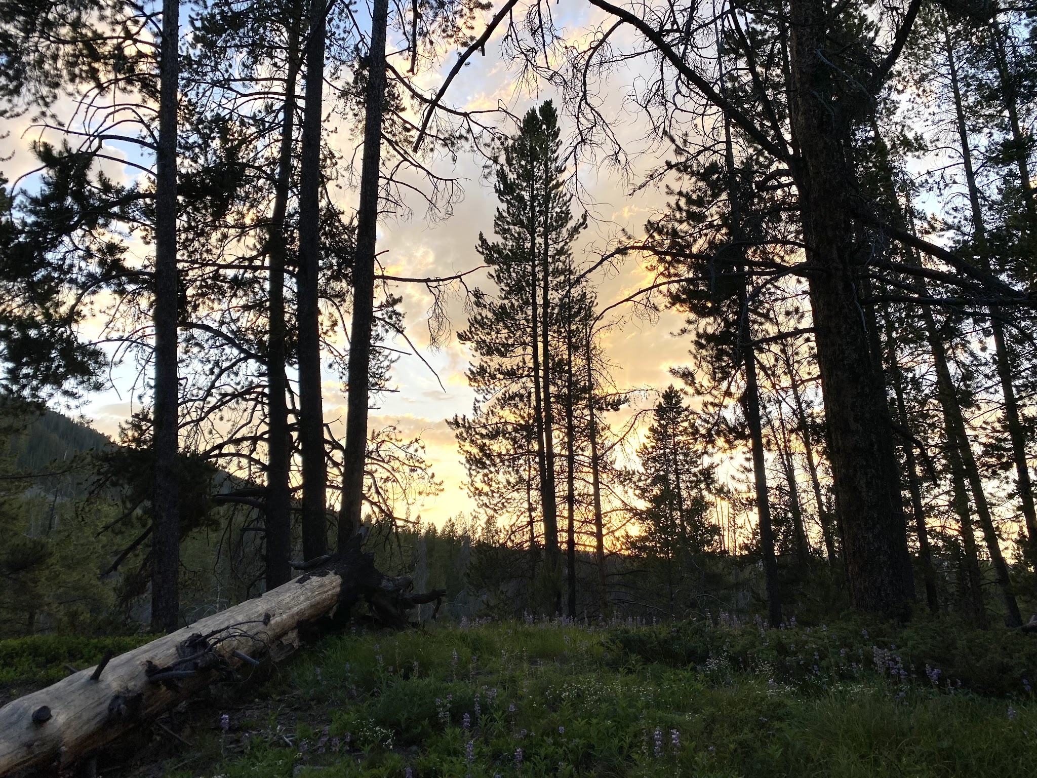 Little Joe Campground