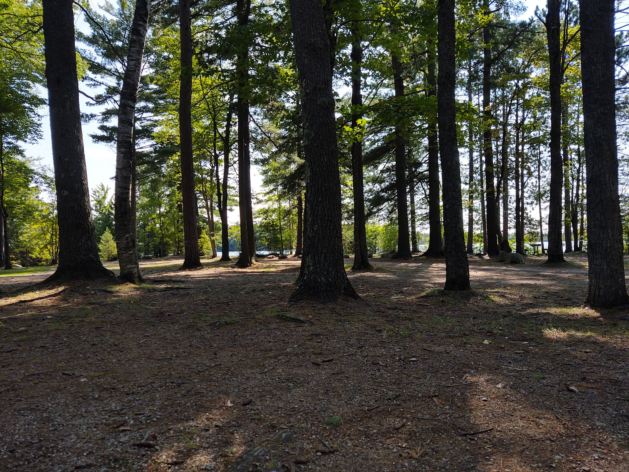 Little Lake State Forest Campground