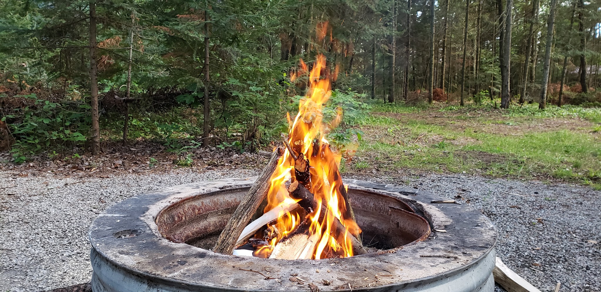 Little Lake State Forest Campground