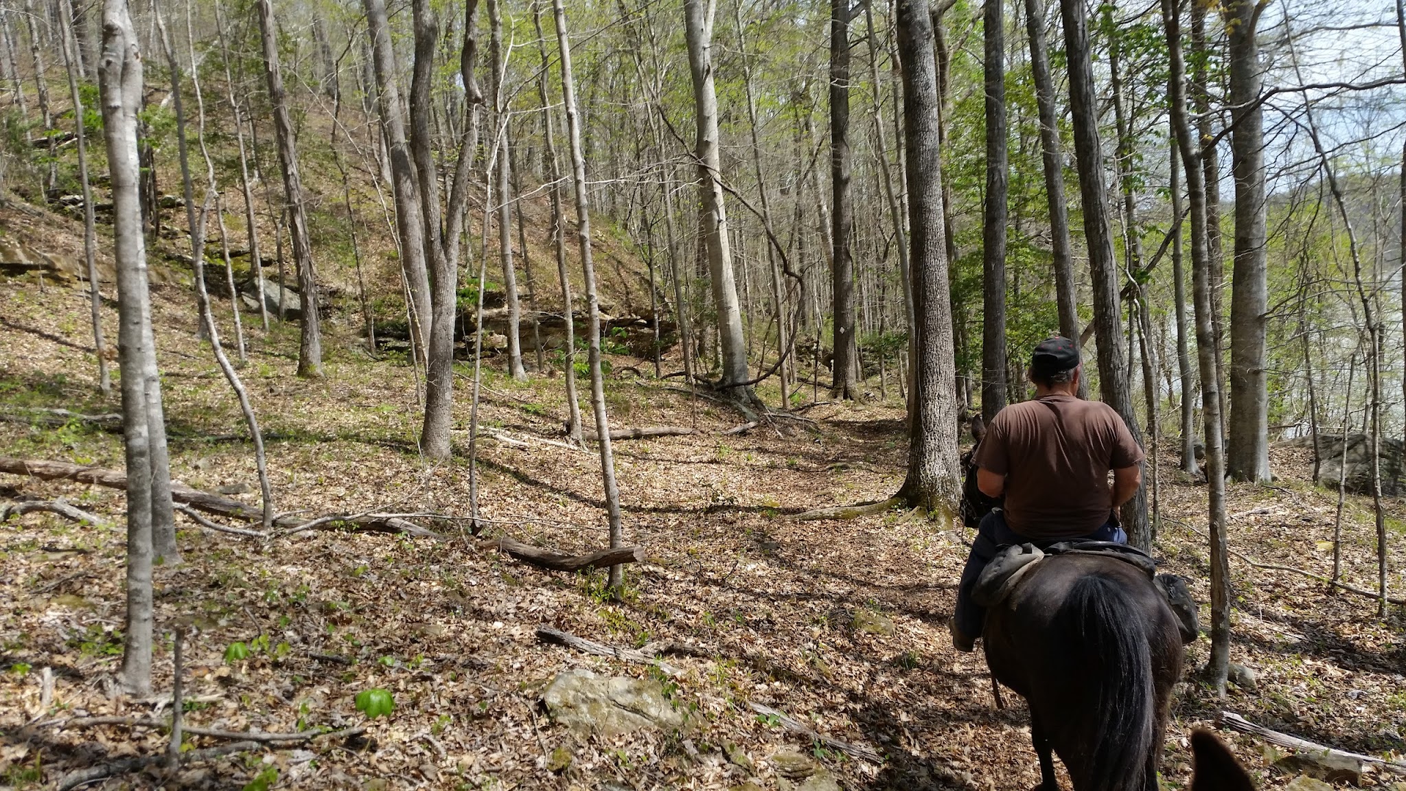 Little Lick Campground