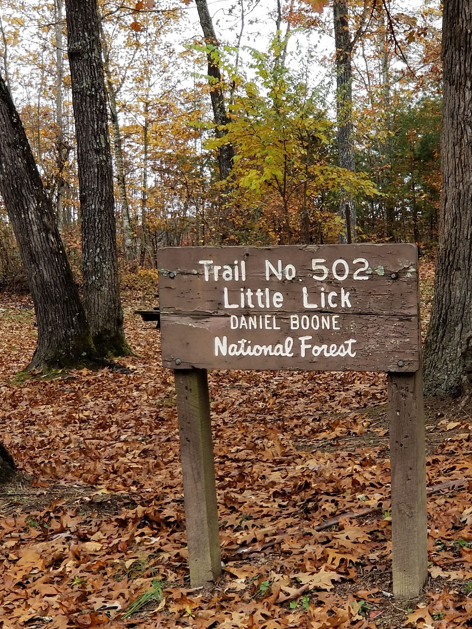 Little Lick Campground