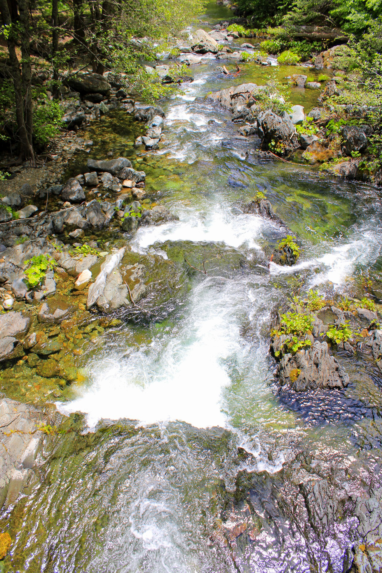 Little North Fork Campground