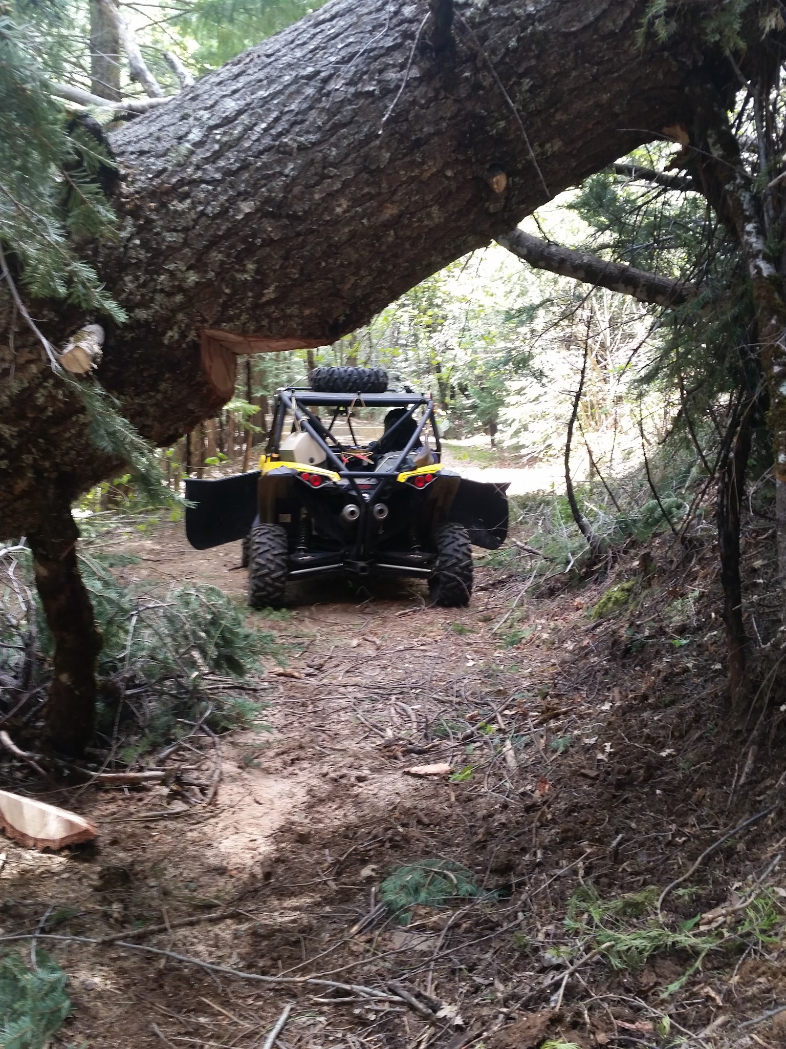 Little North Fork Campground