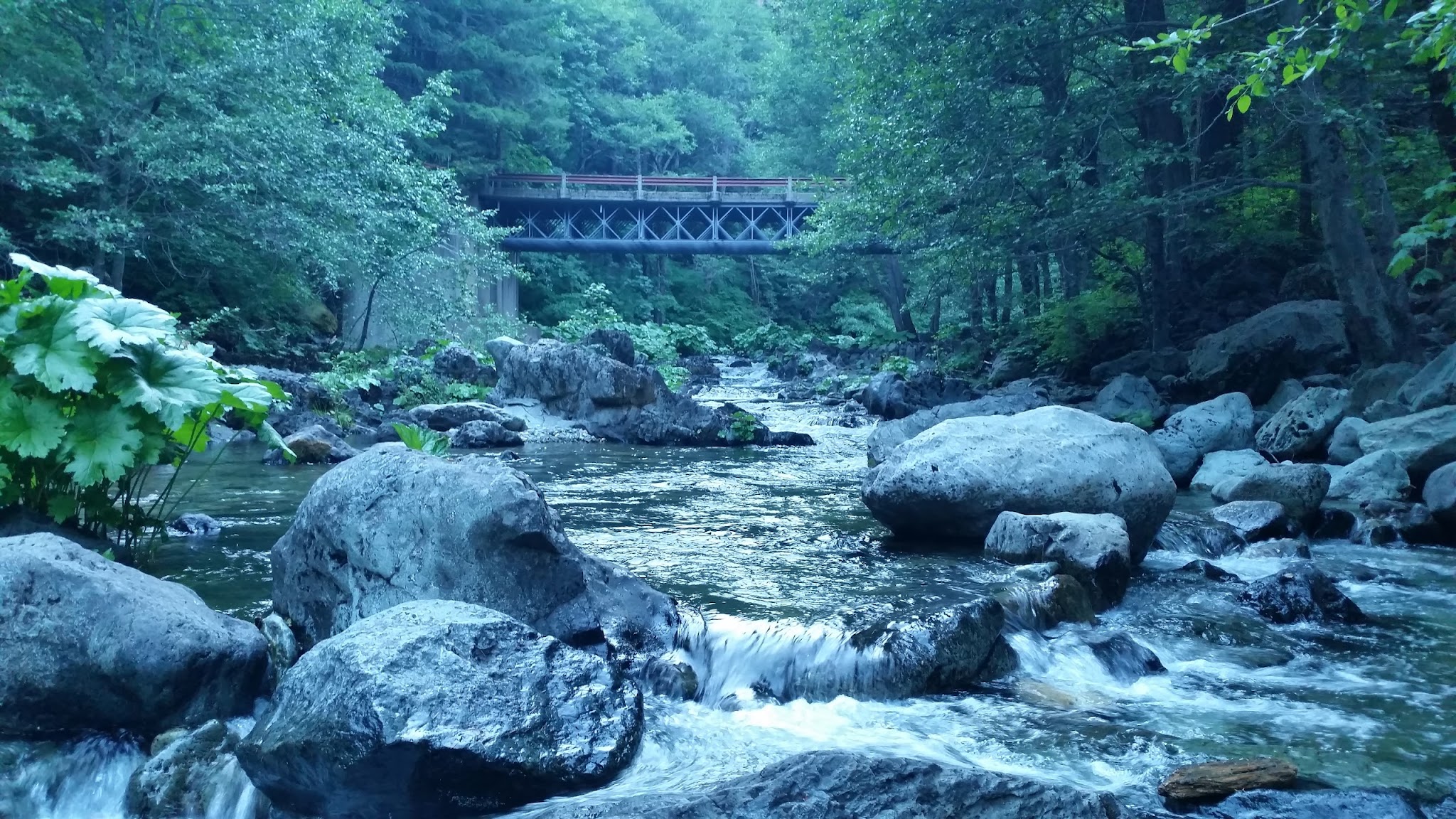 Little North Fork Campground