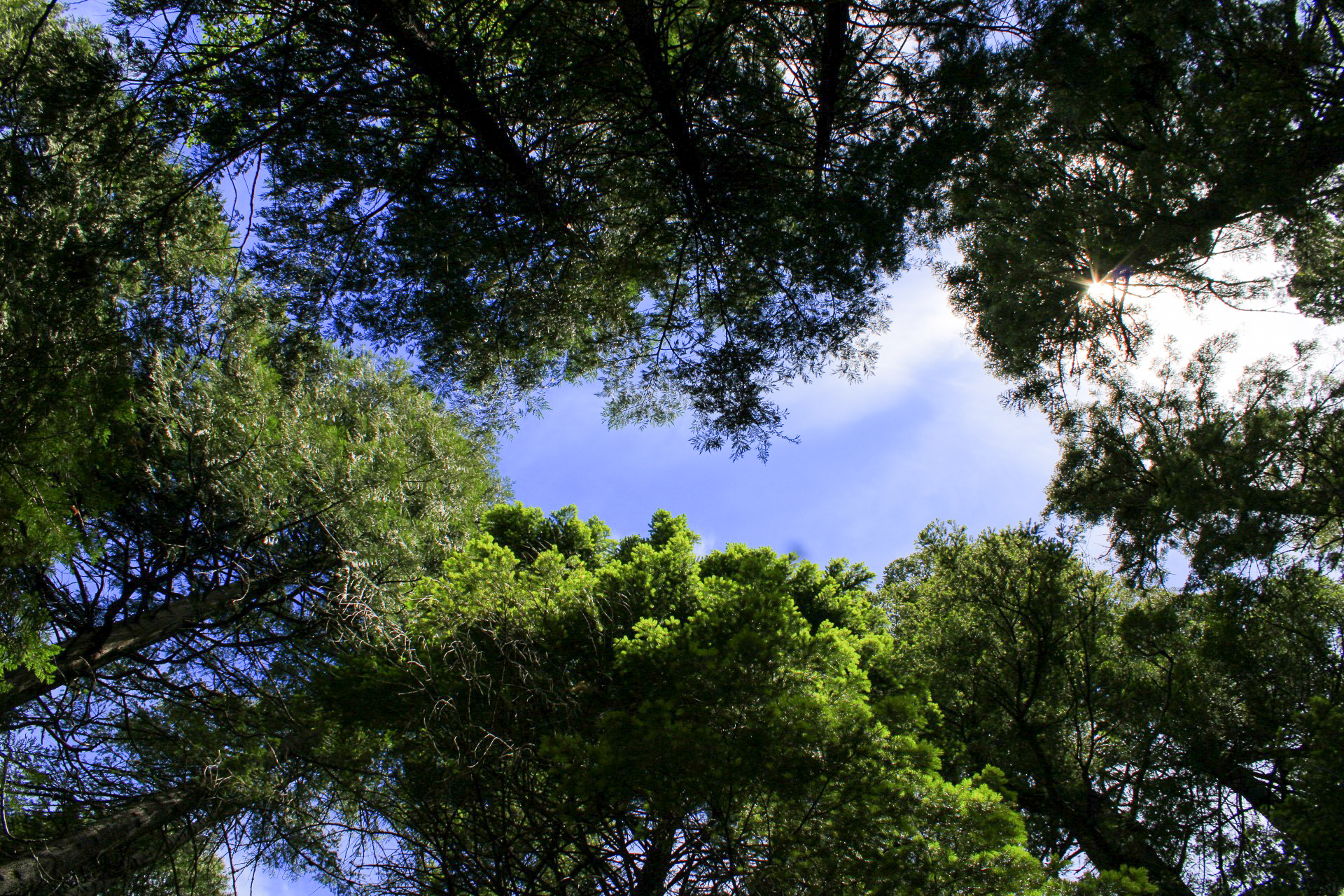 Little North Fork Campground