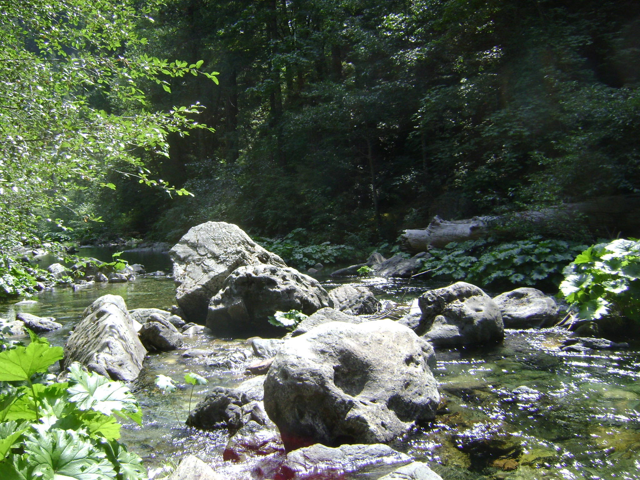 Little North Fork Campground