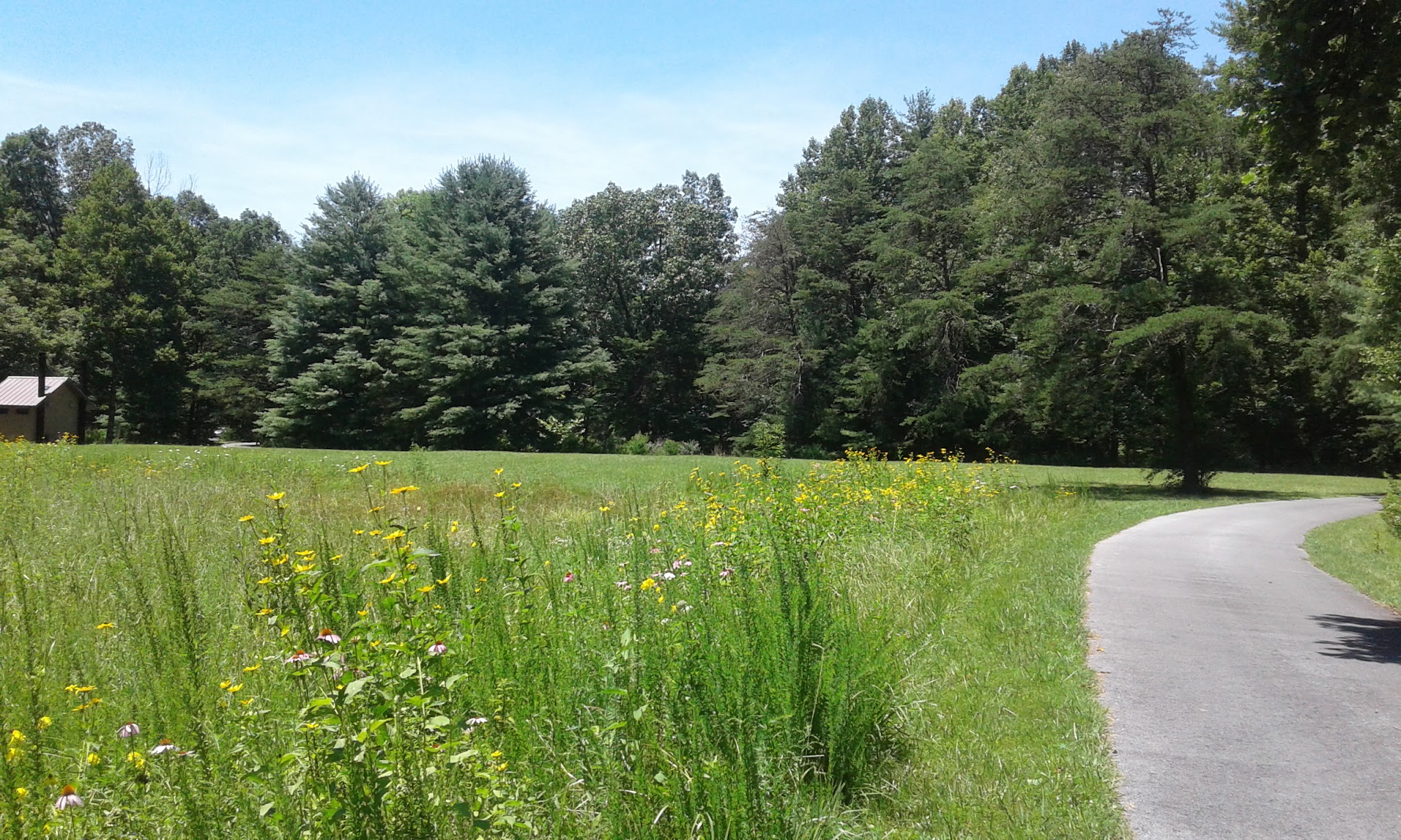 Little Oak Campground