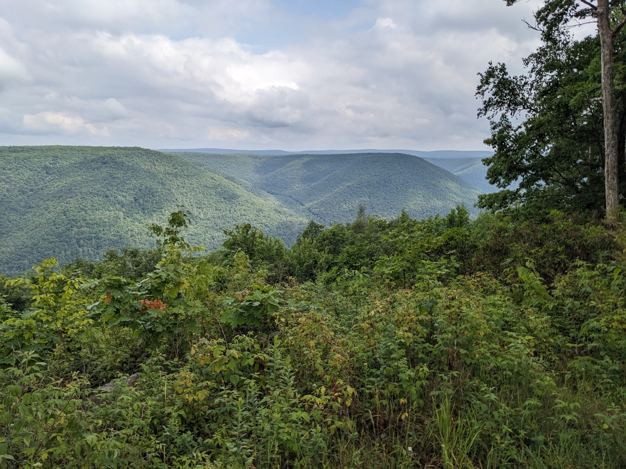 Little Pine State Park