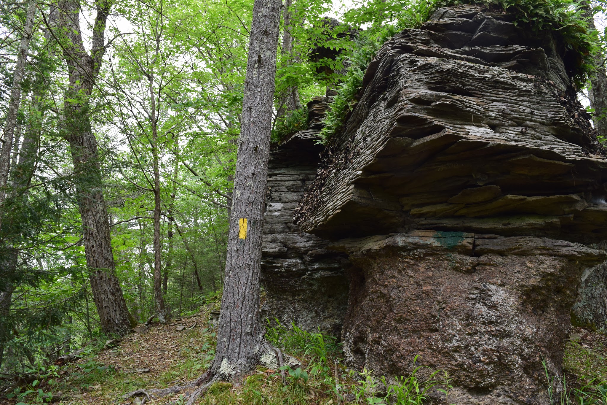 Little Pine State Park