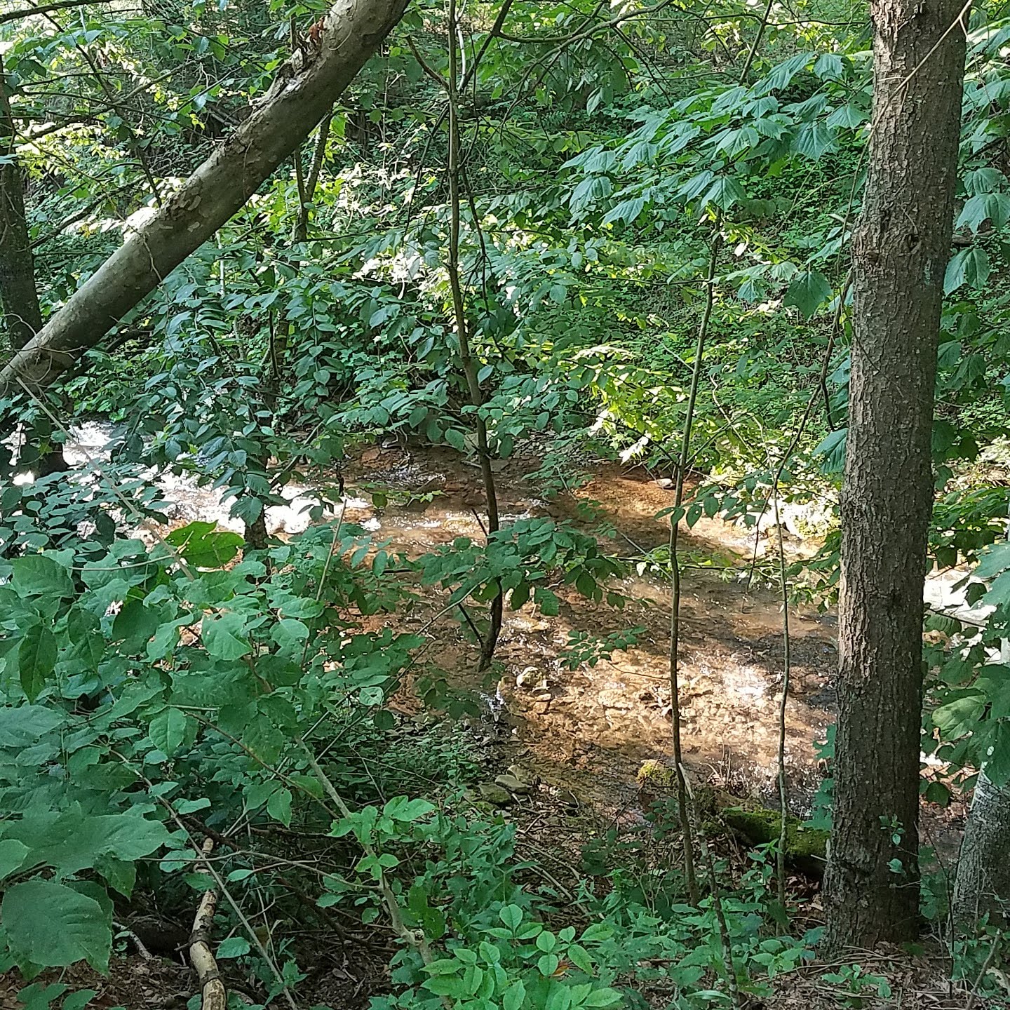 Little Pine State Park