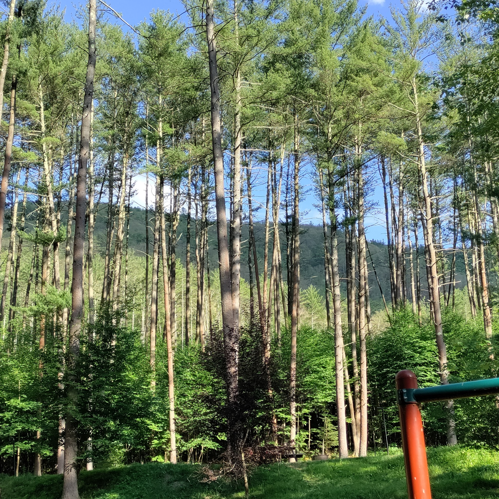 Little Pine State Park