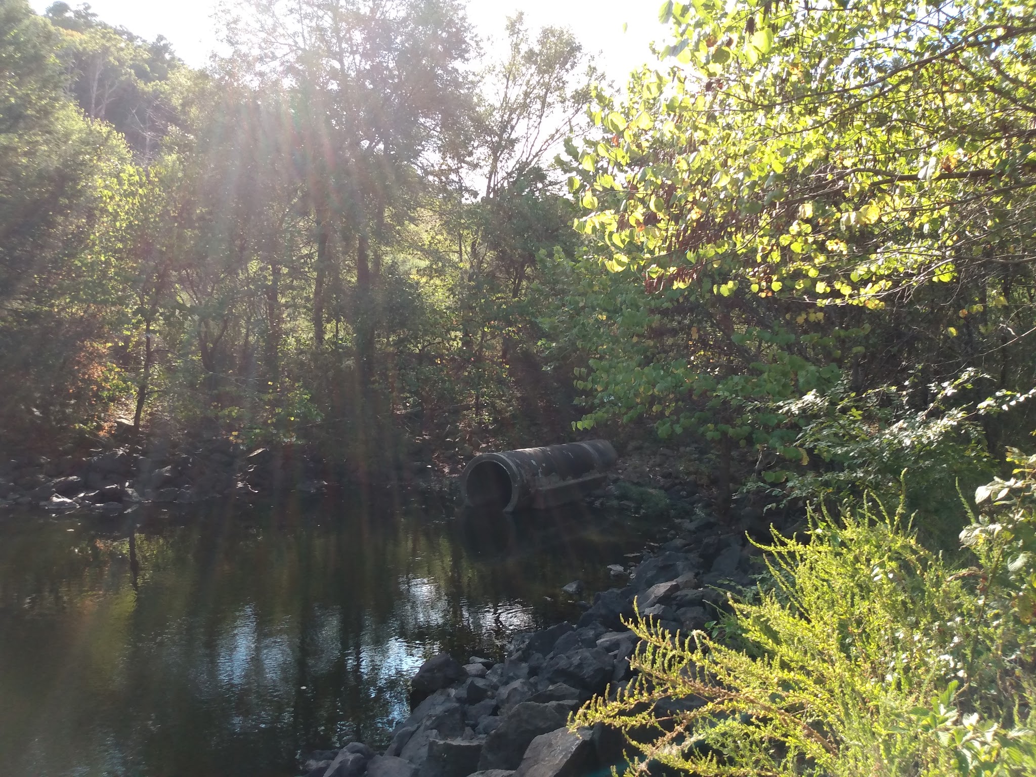 Little Pines Recreation Area