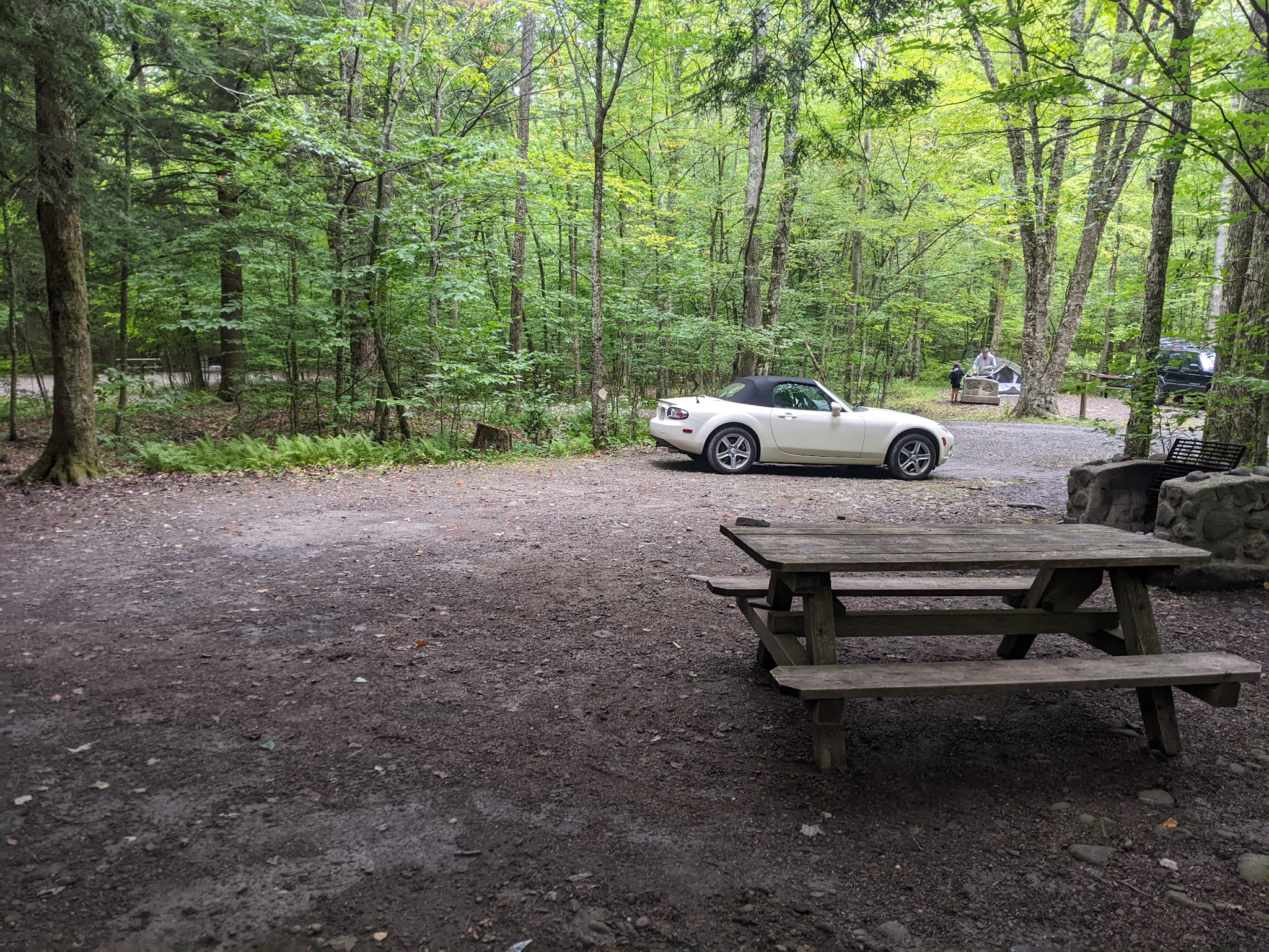 Little Pond Campground
