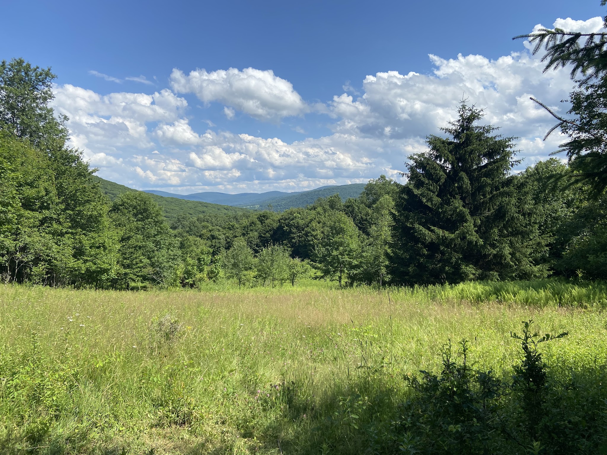 Little Pond Campground