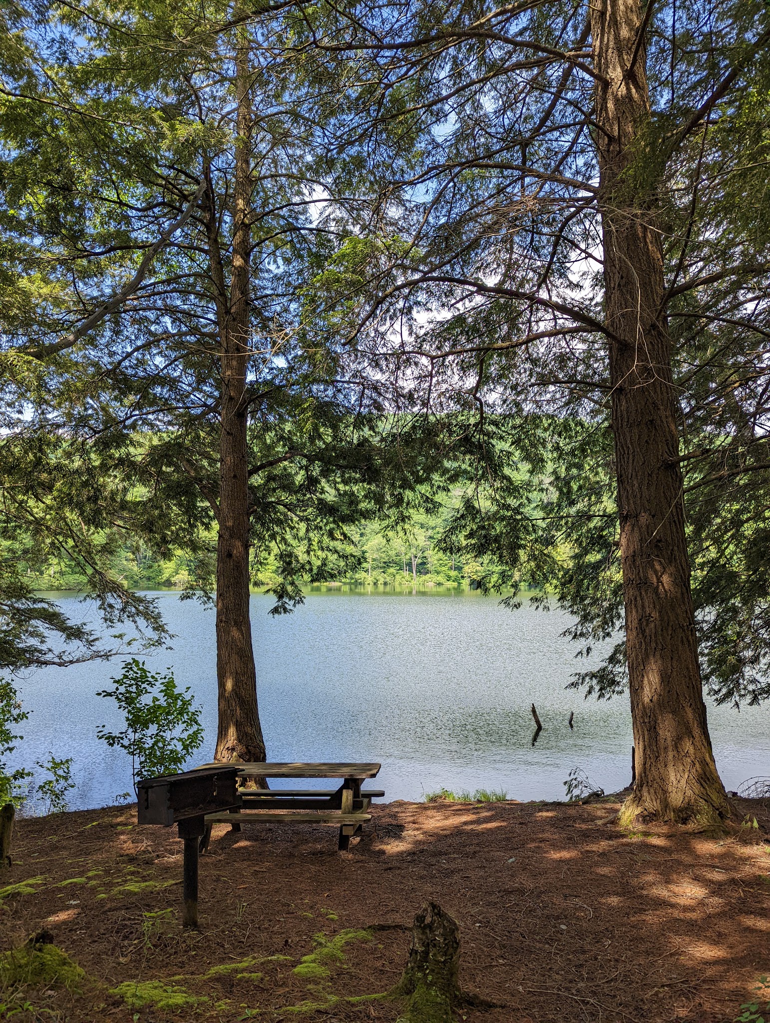 Little Pond Campground
