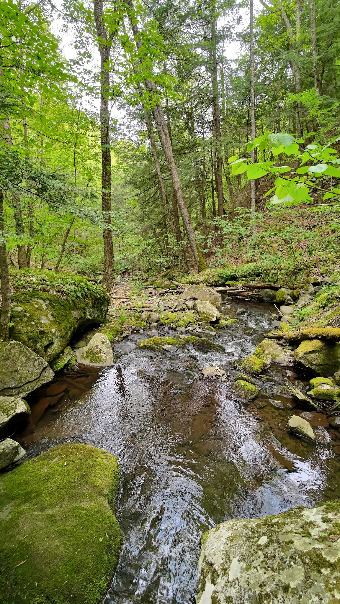 Little Pond Campground