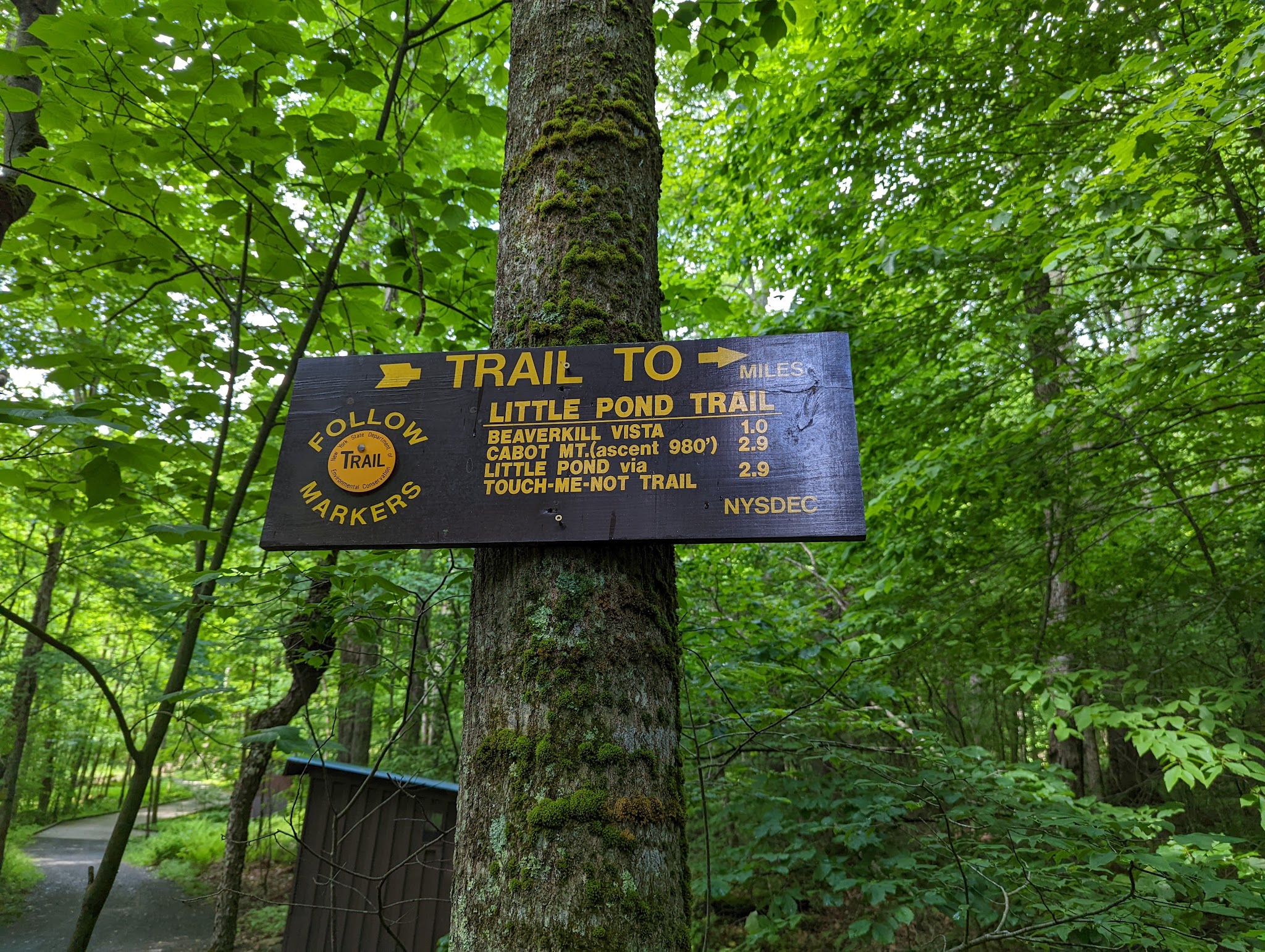 Little Pond Campground