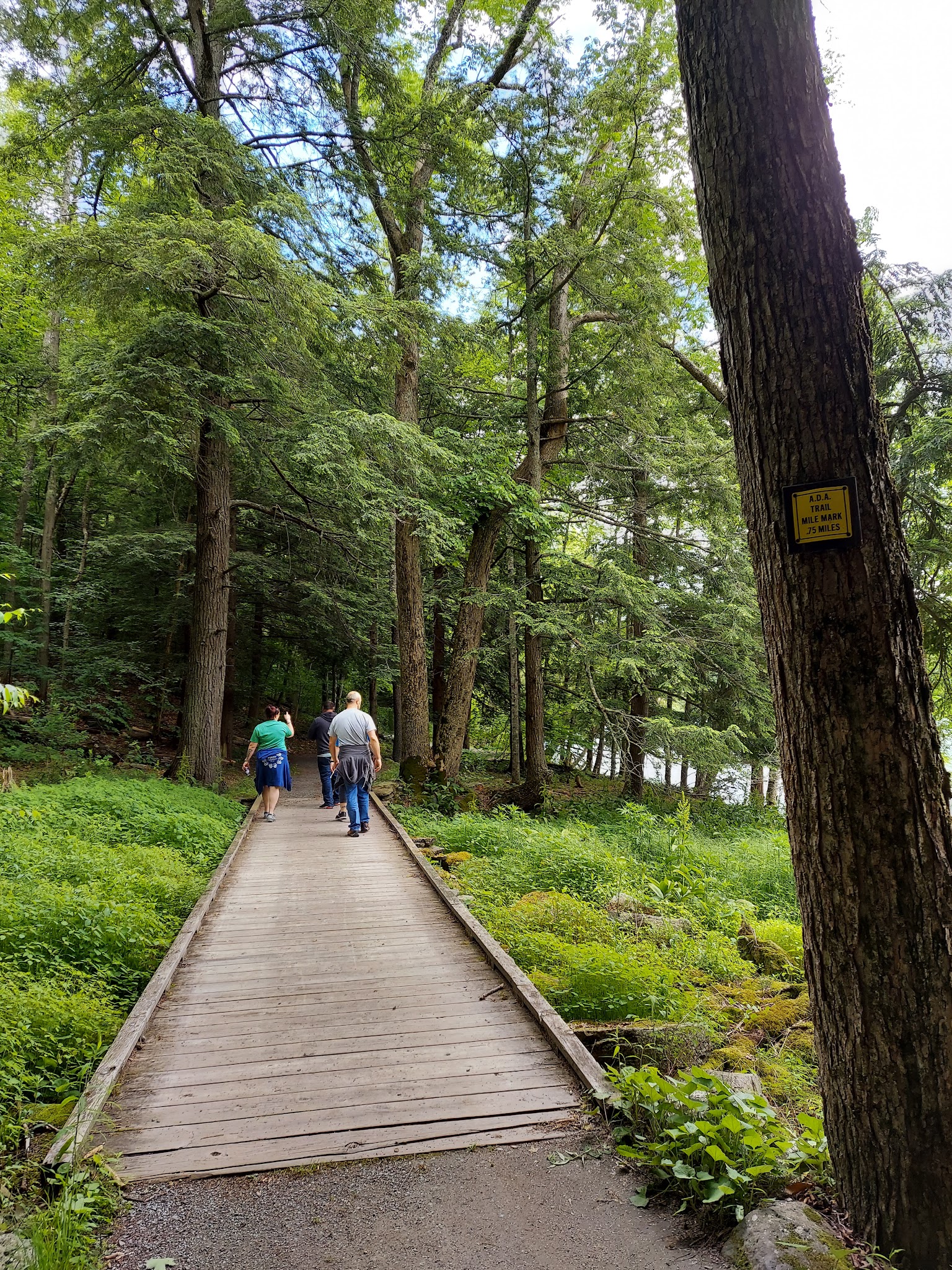 Little Pond Campground