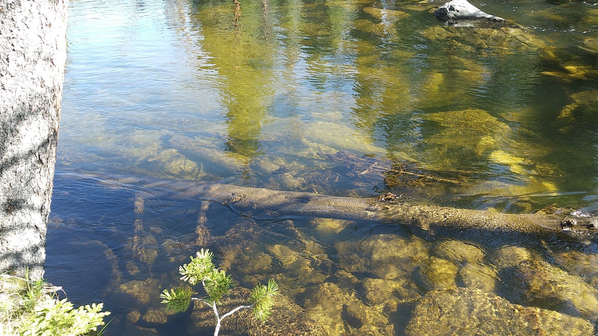 Little Popo Agie Campground