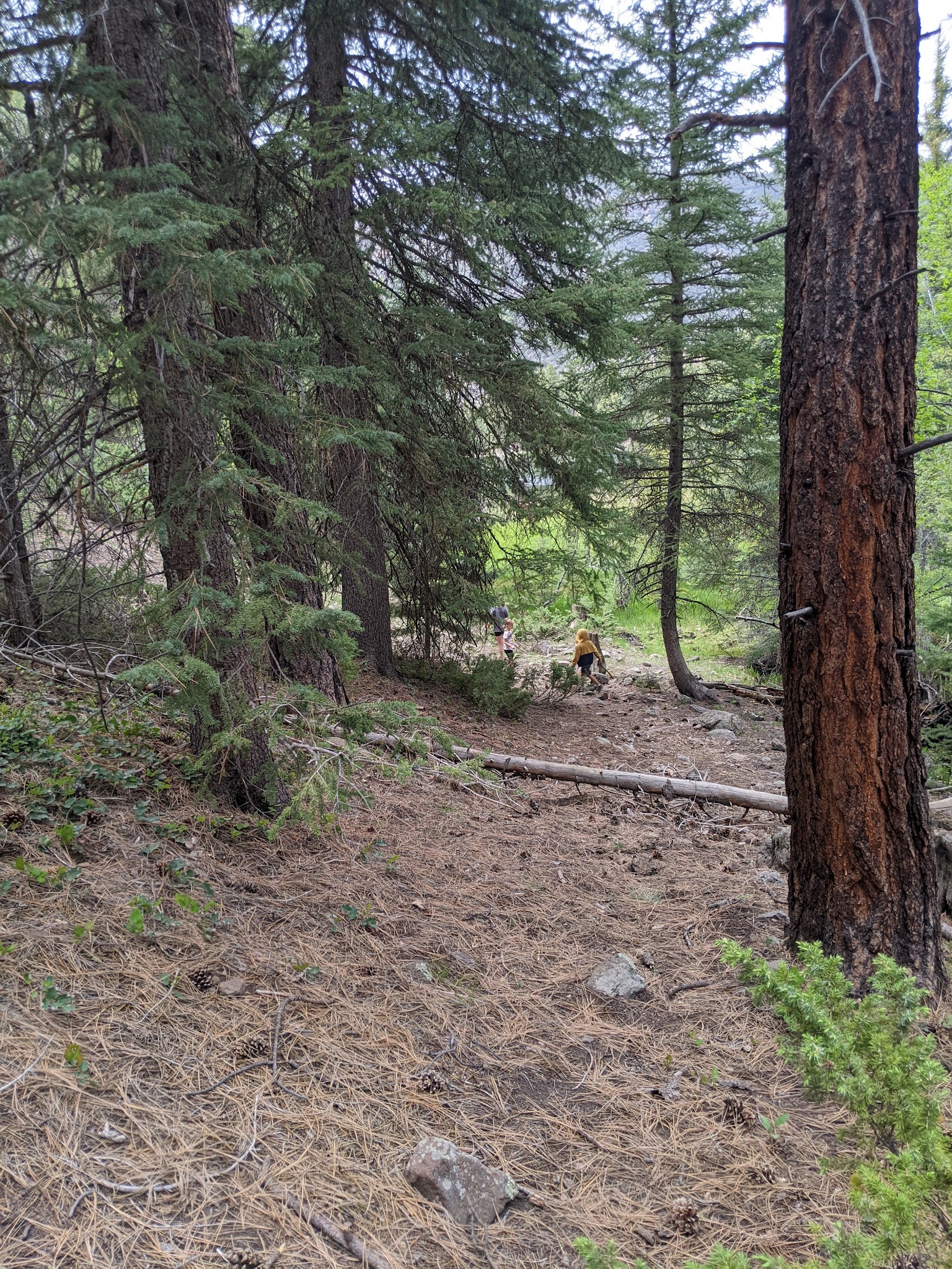 Little Reservoir Campground