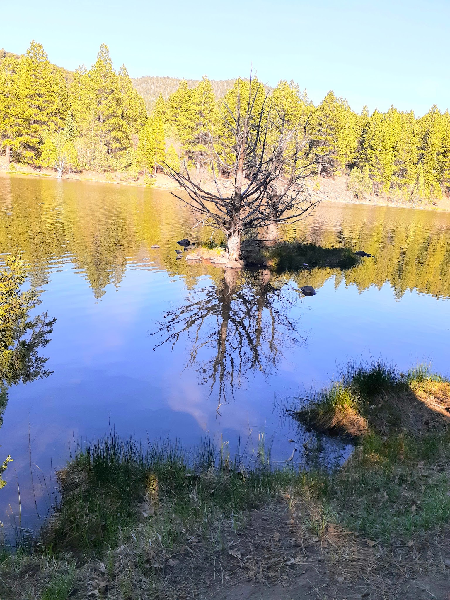 Little Reservoir Campground