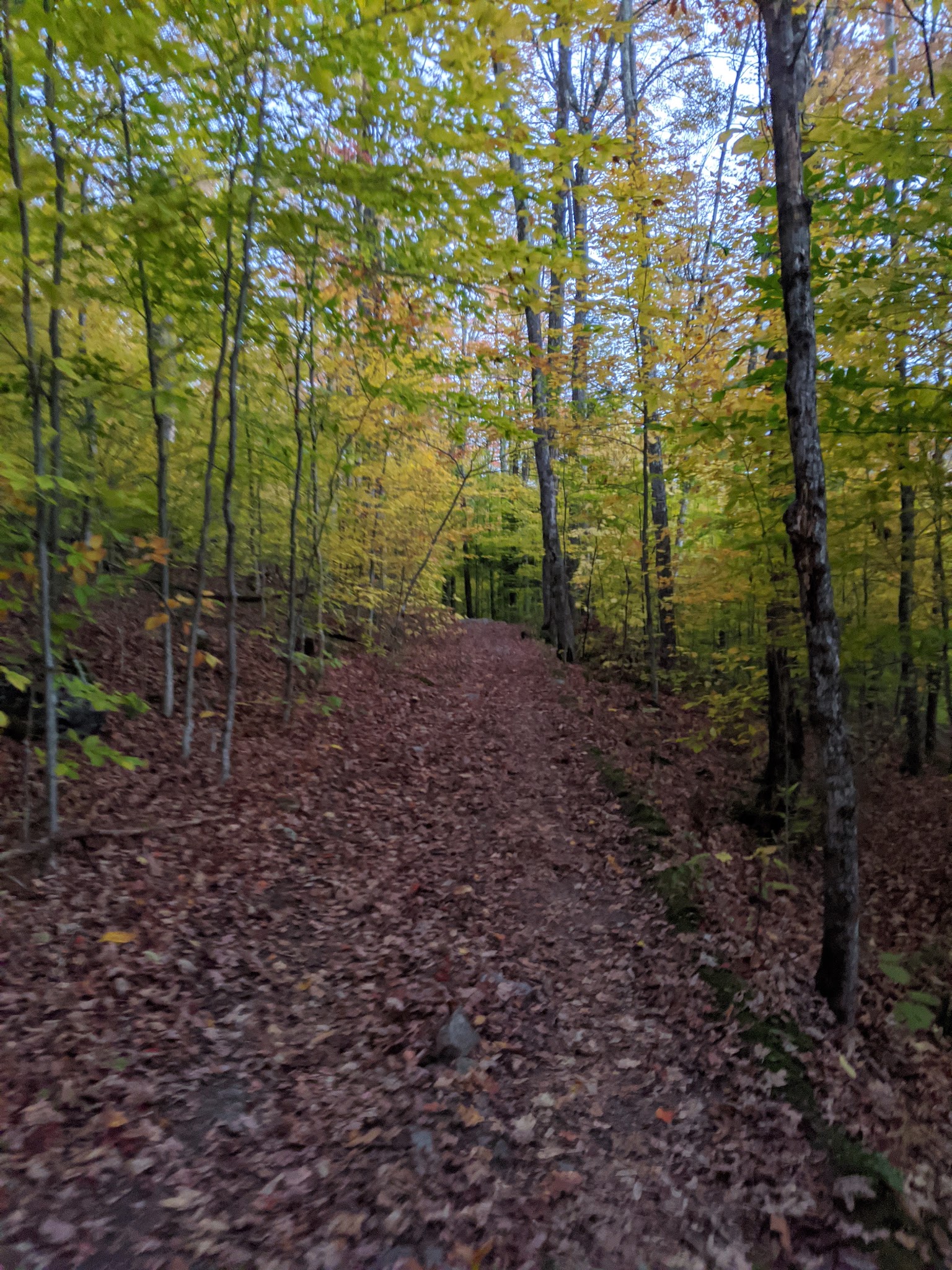Little Rock Pond/Green Mountain Loop