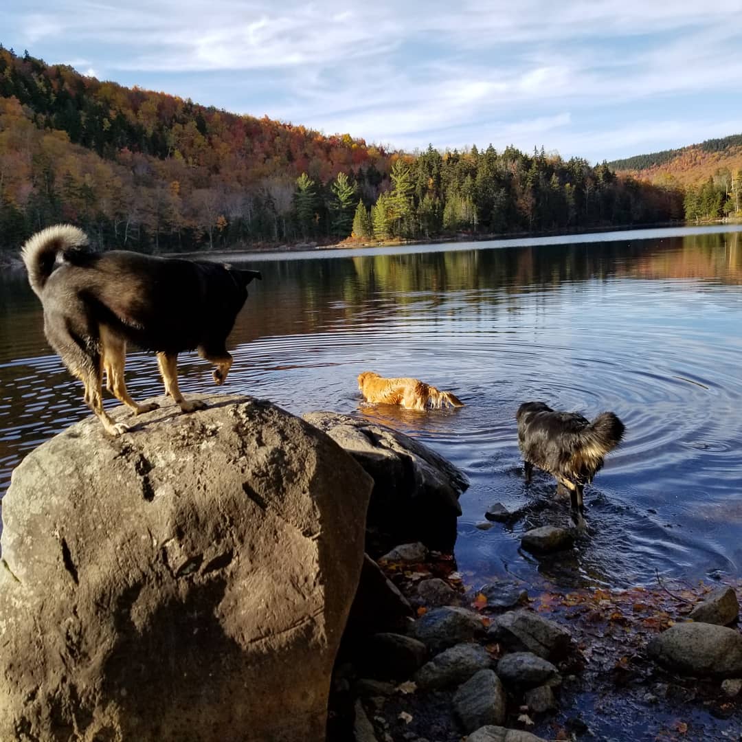 Little Rock Pond/Green Mountain Loop