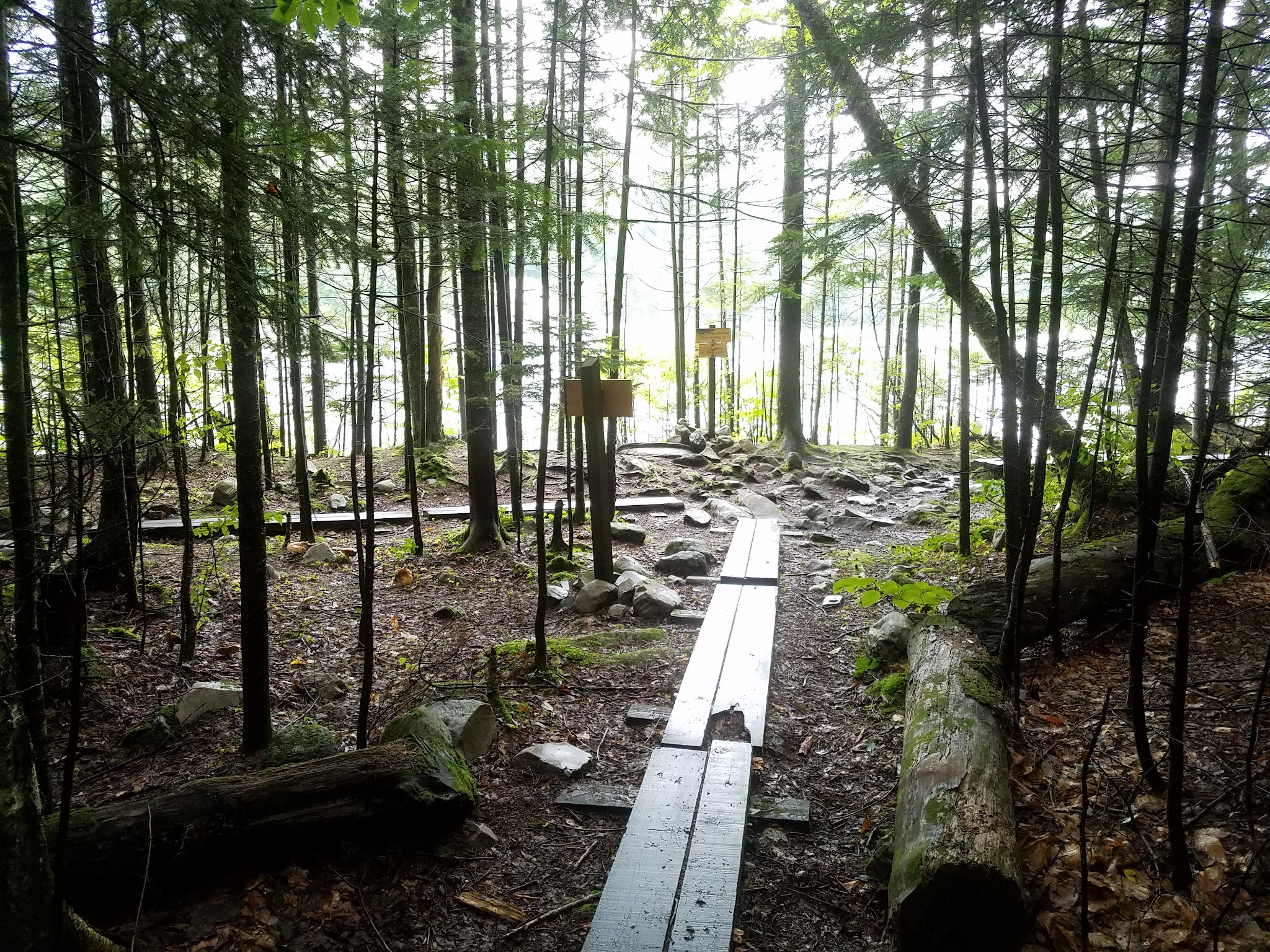 Little Rock Pond/Green Mountain Loop