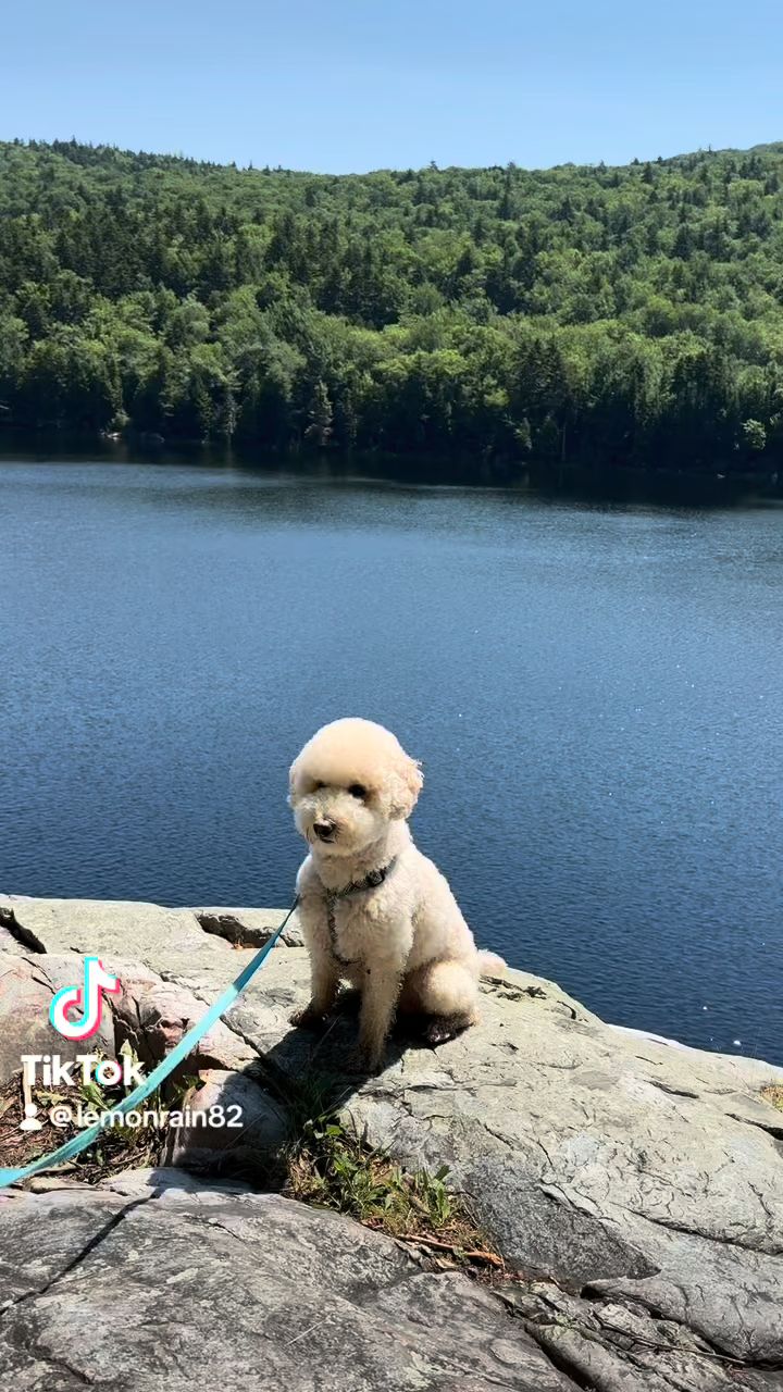 Little Rock Pond/Green Mountain Loop