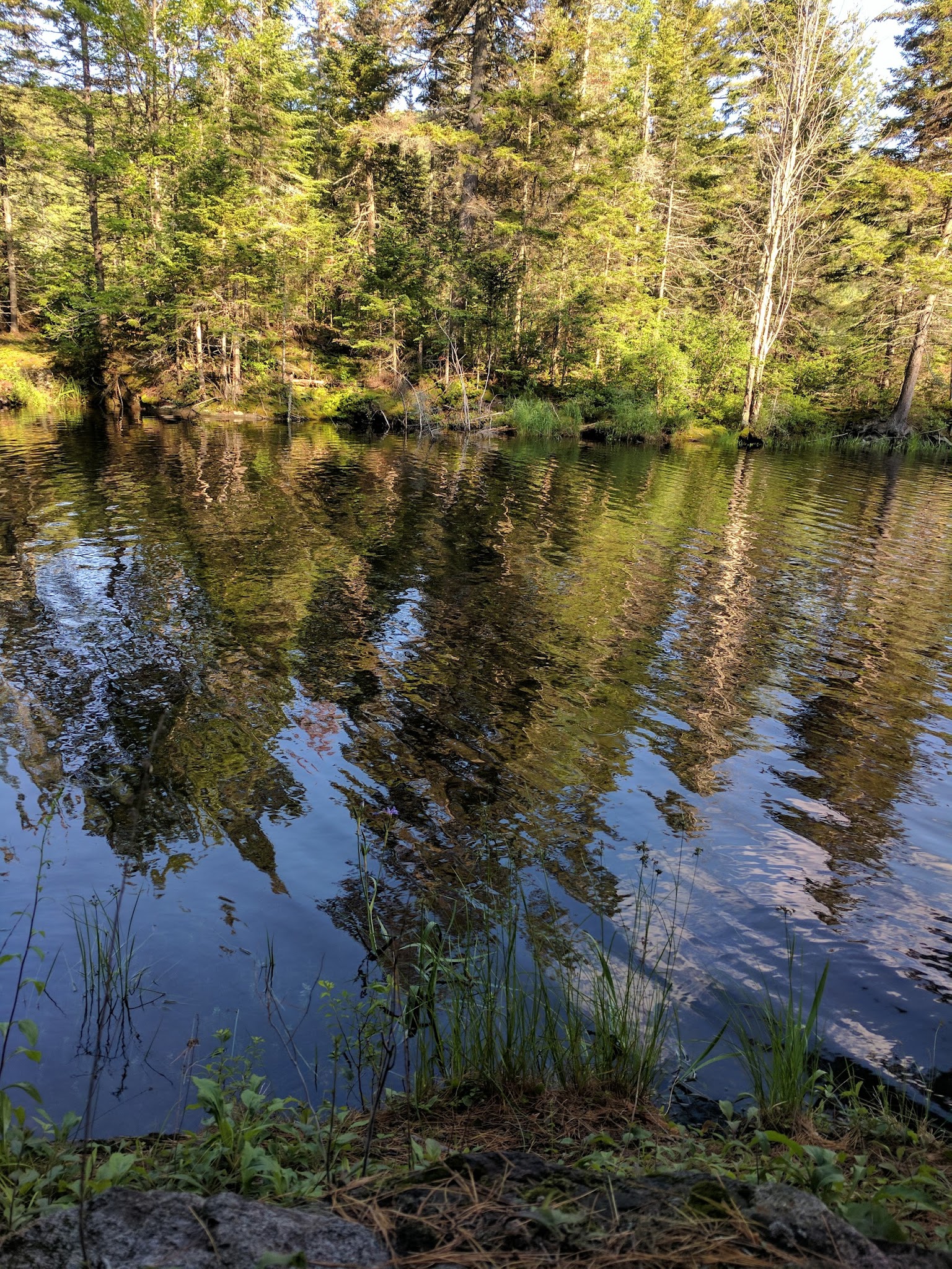 Little Rock Pond/Green Mountain Loop