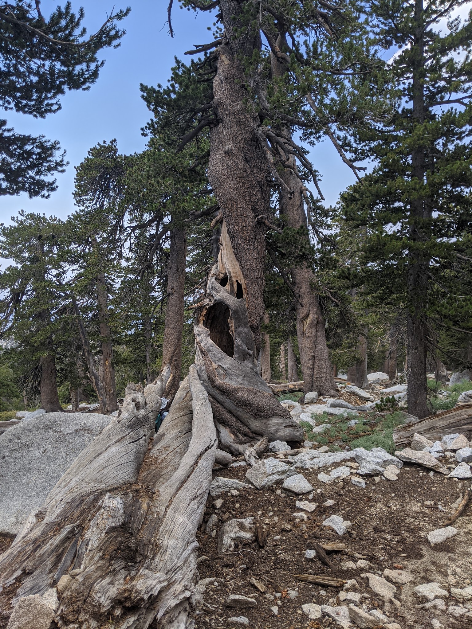 Little Round Valley Campground