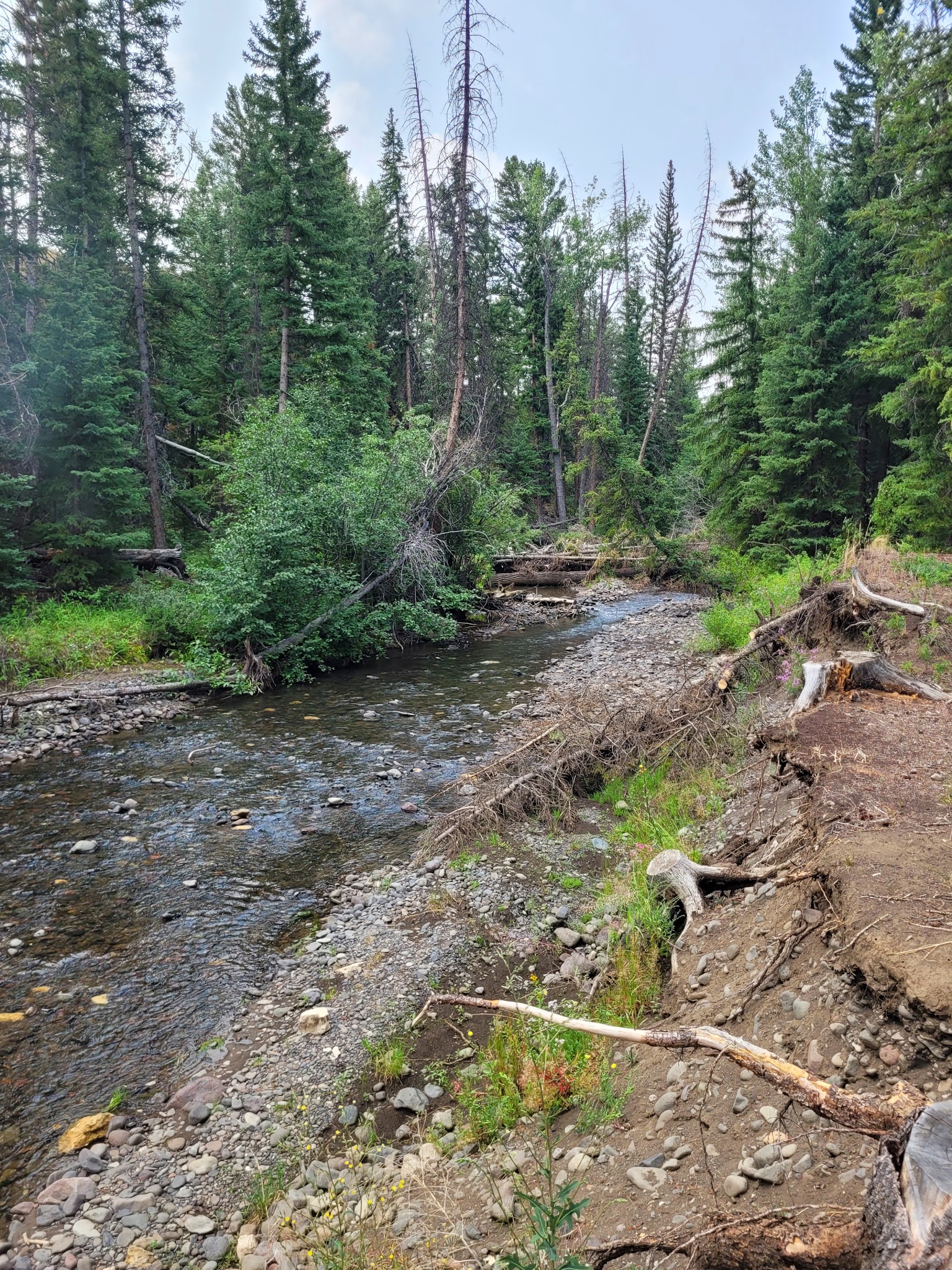 Little Sunlight Camping Area