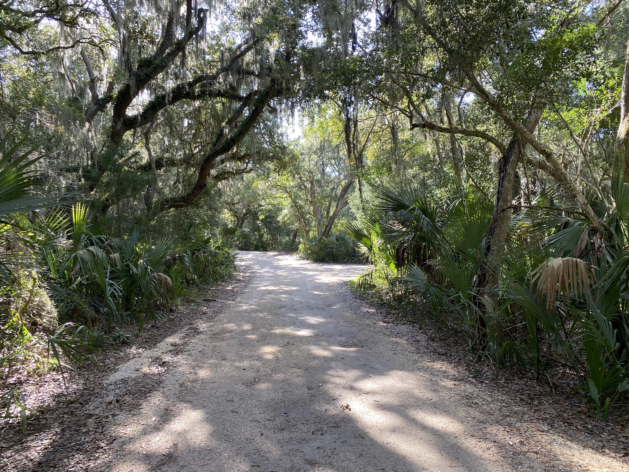 Talbot Island State Park Campground