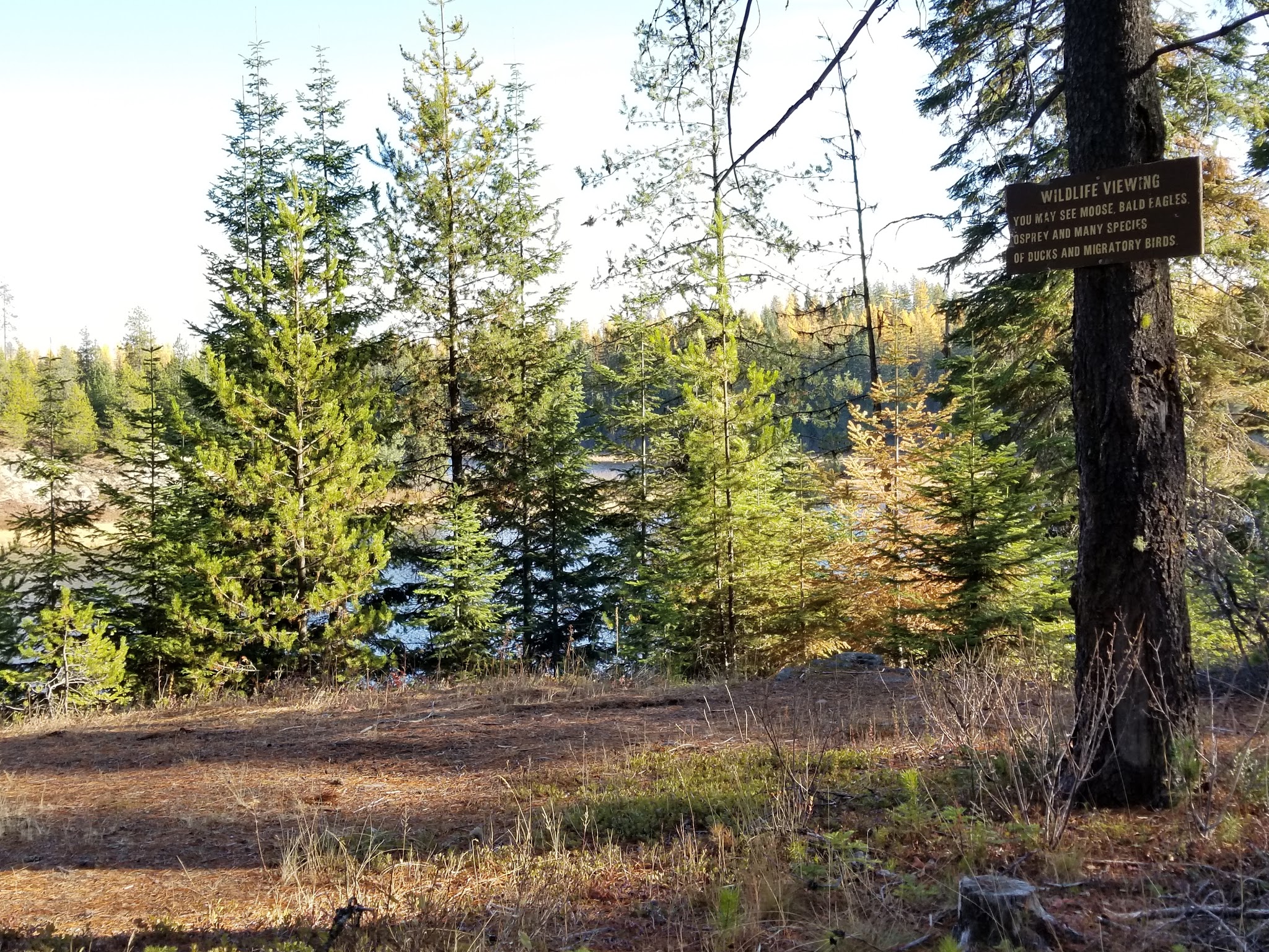 Little Twin Lakes Campground