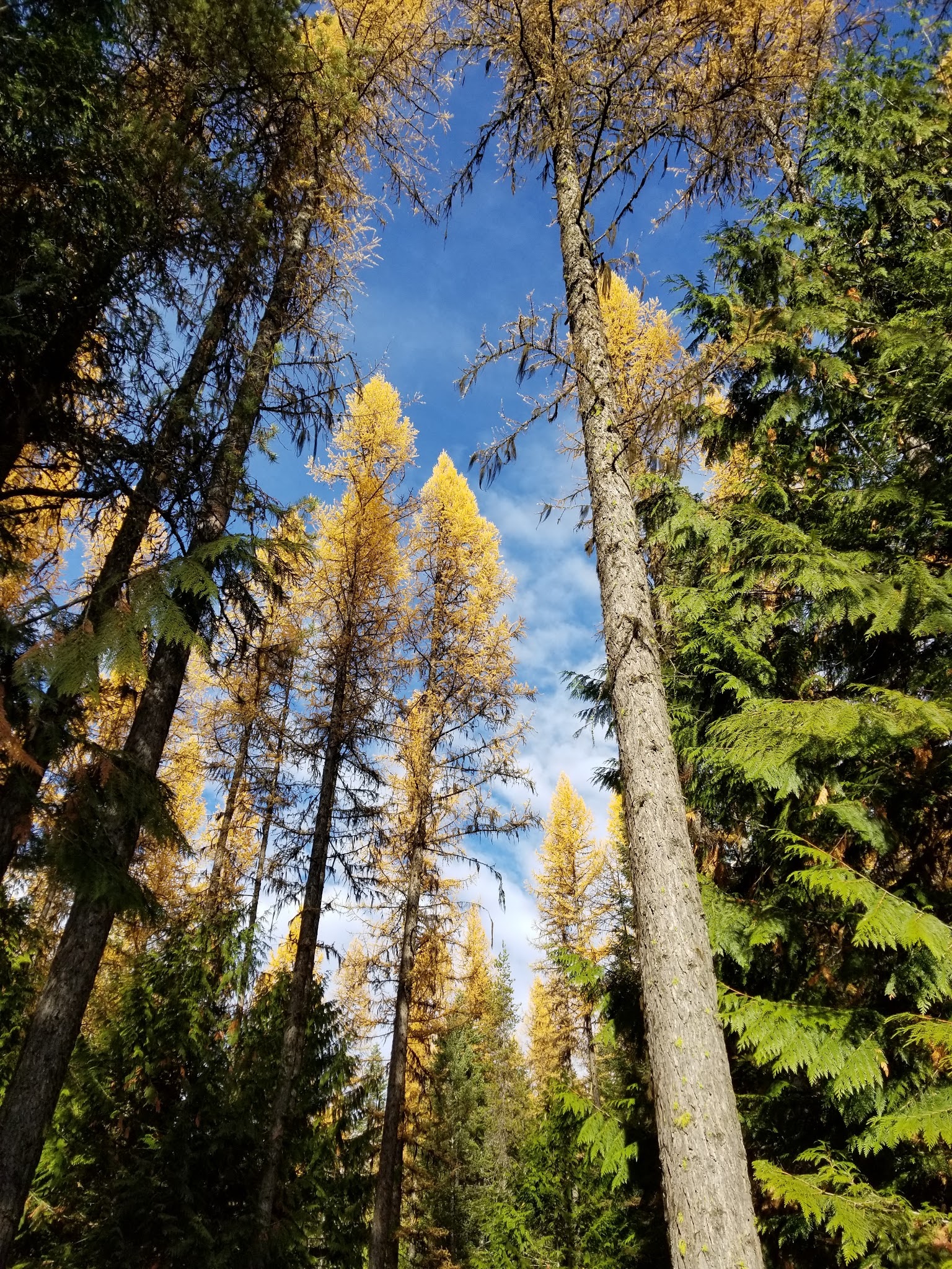 Little Twin Lakes Campground