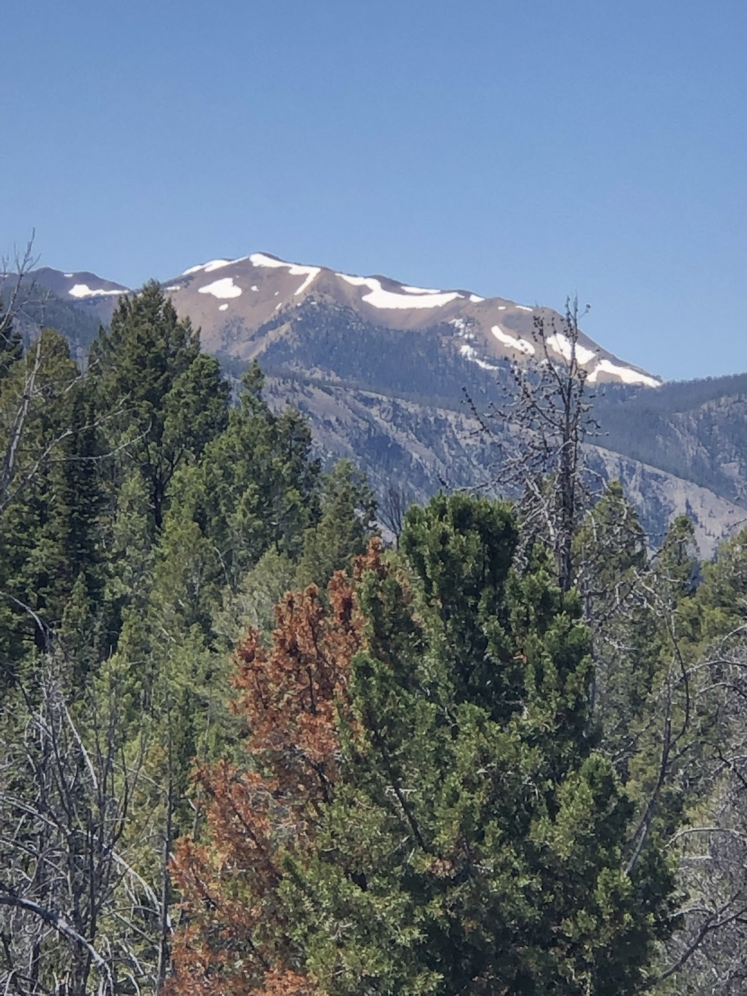 Little West Fork Morgan Creek Trailhead