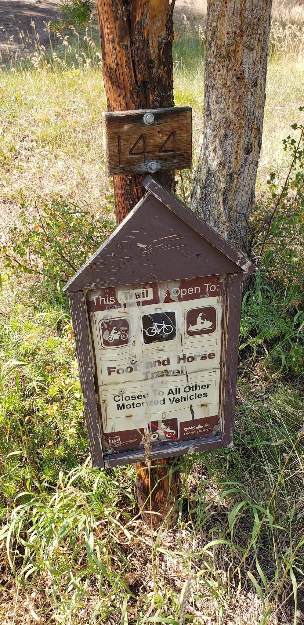 Little West Fork Morgan Creek Trailhead