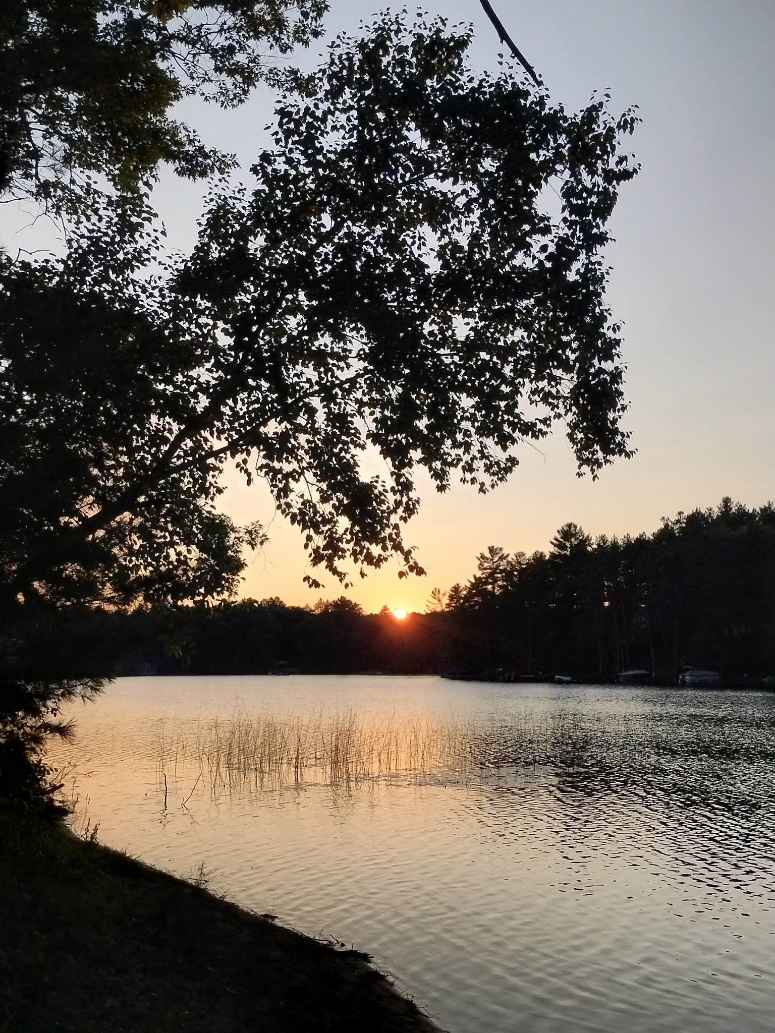 Little Wolf Lake State Forest Campground