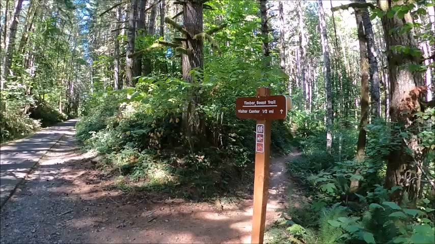 L.L. Stub Stewart Memorial State Park