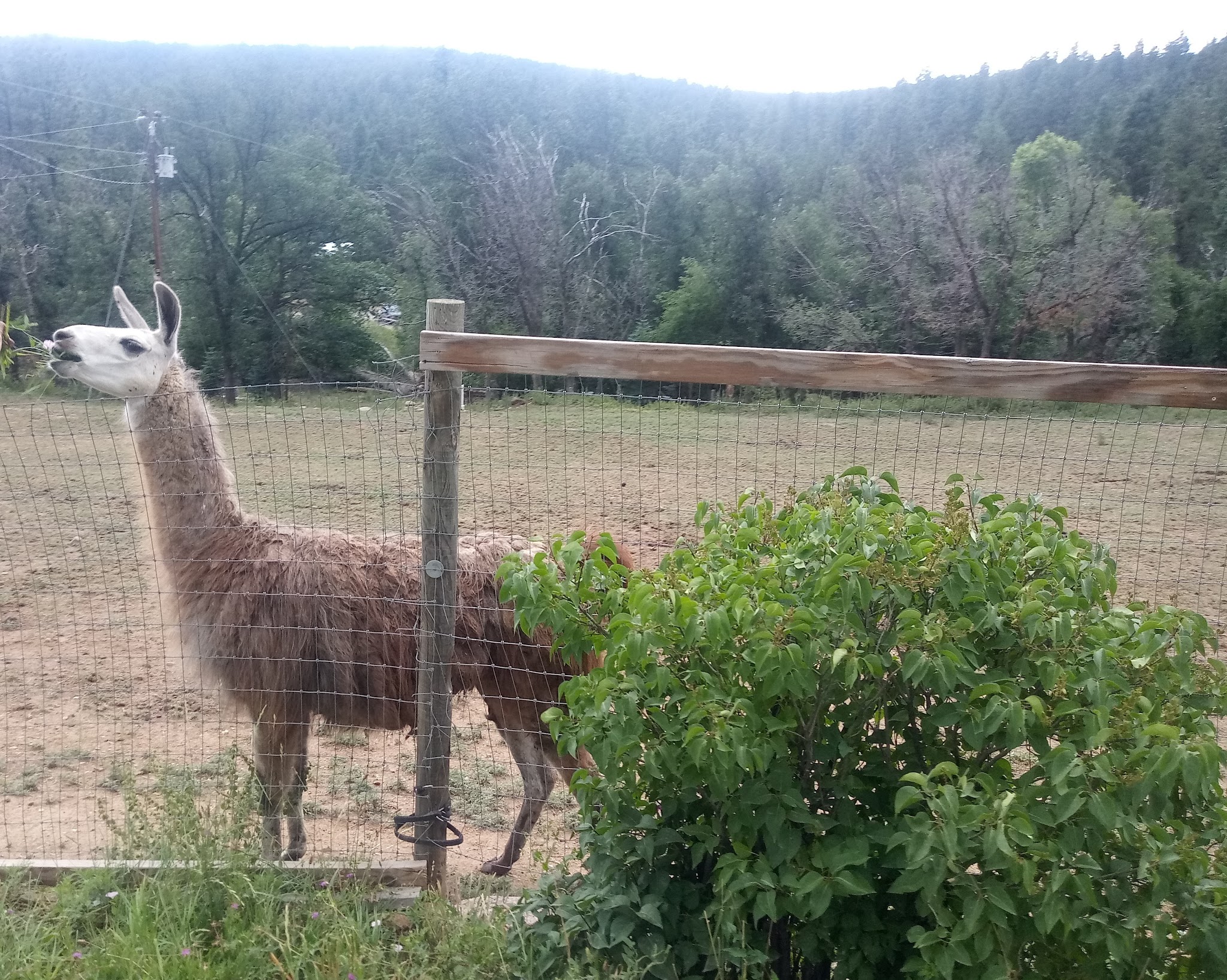E.V. Long Campground