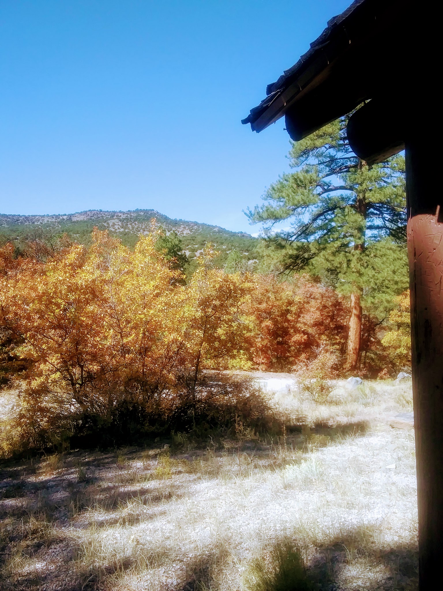 Lobo Canyon Picnic Ground