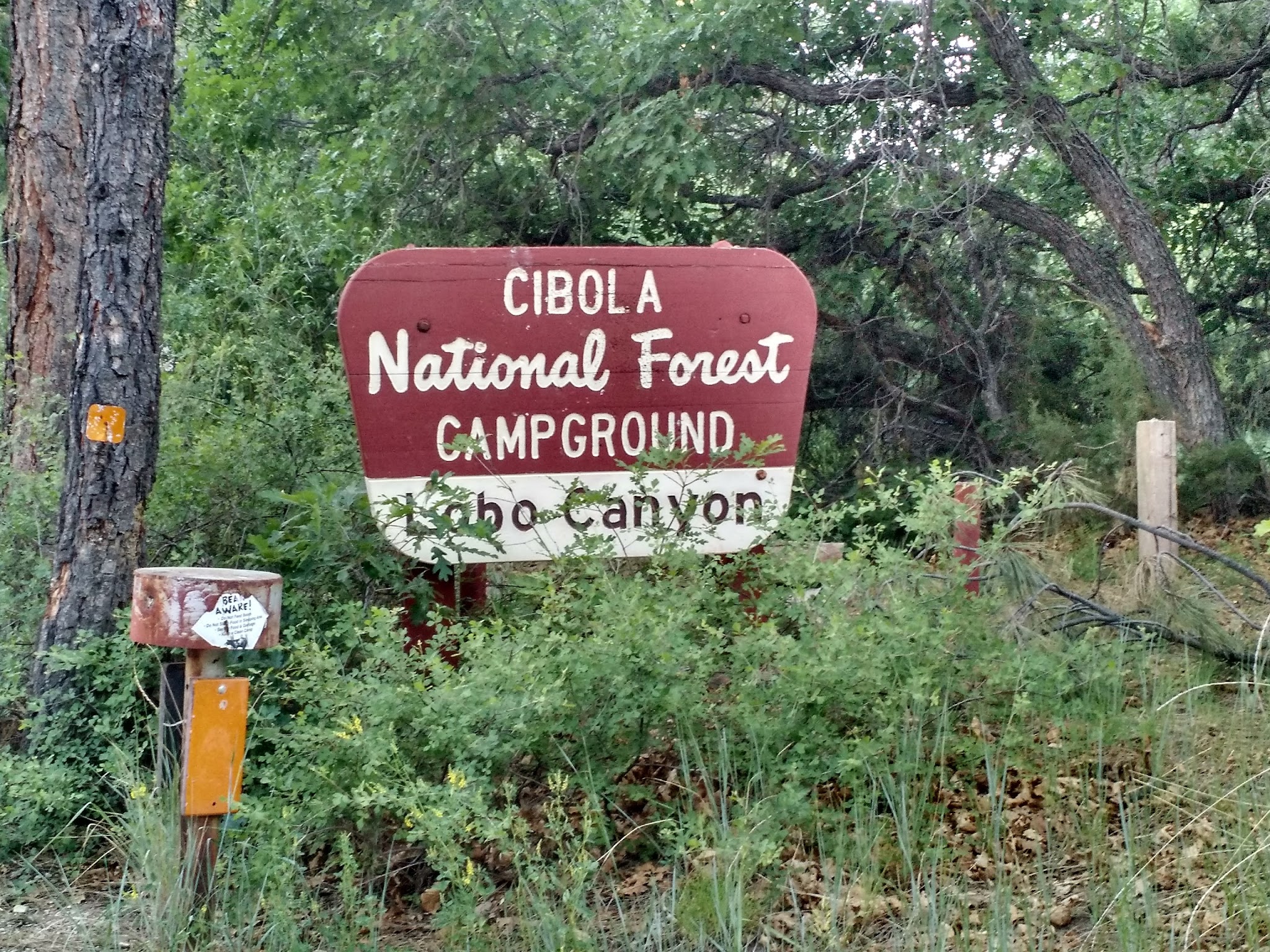 Lobo Canyon Picnic Ground