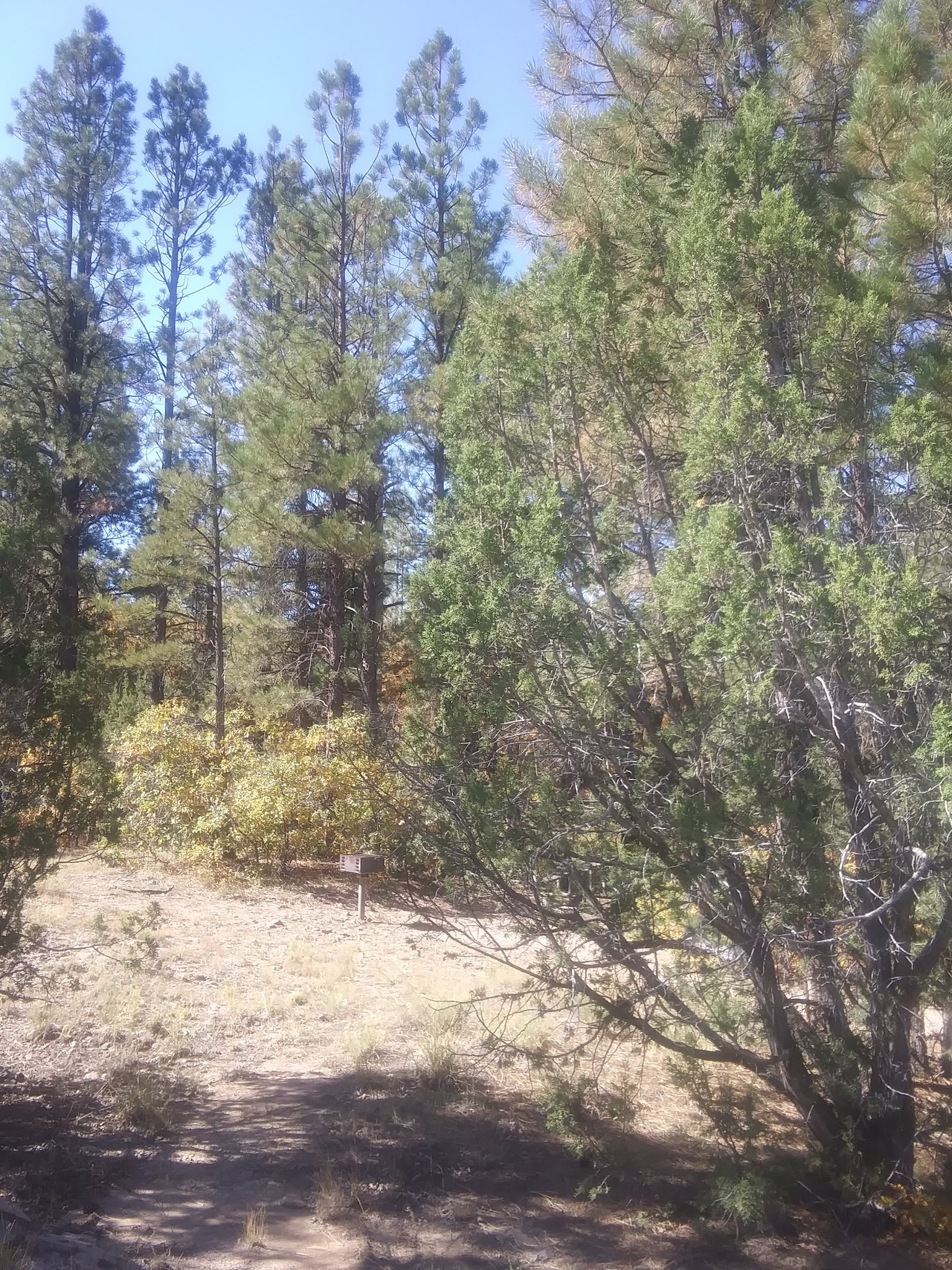 Lobo Canyon Picnic Ground